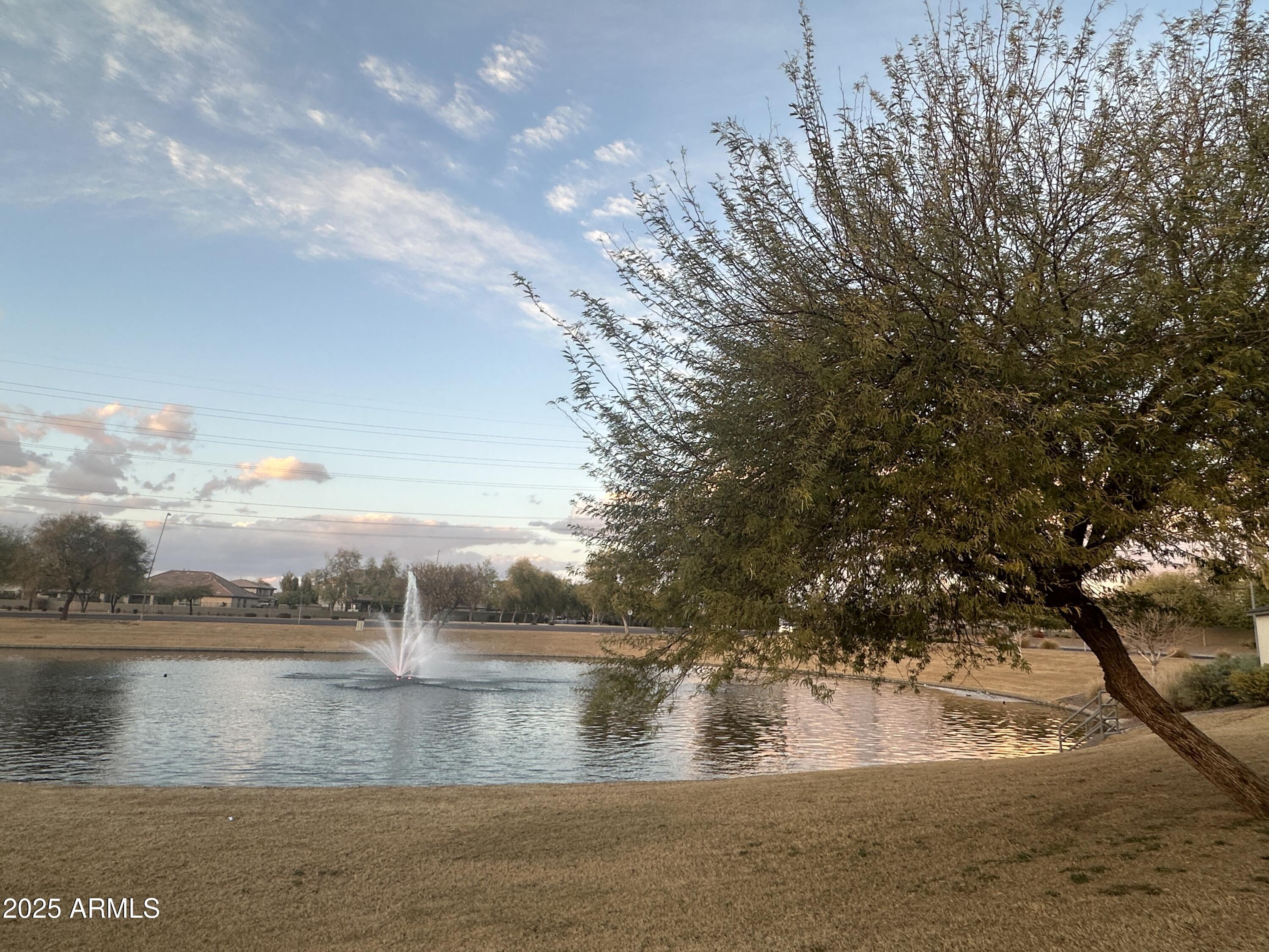 Photo #41