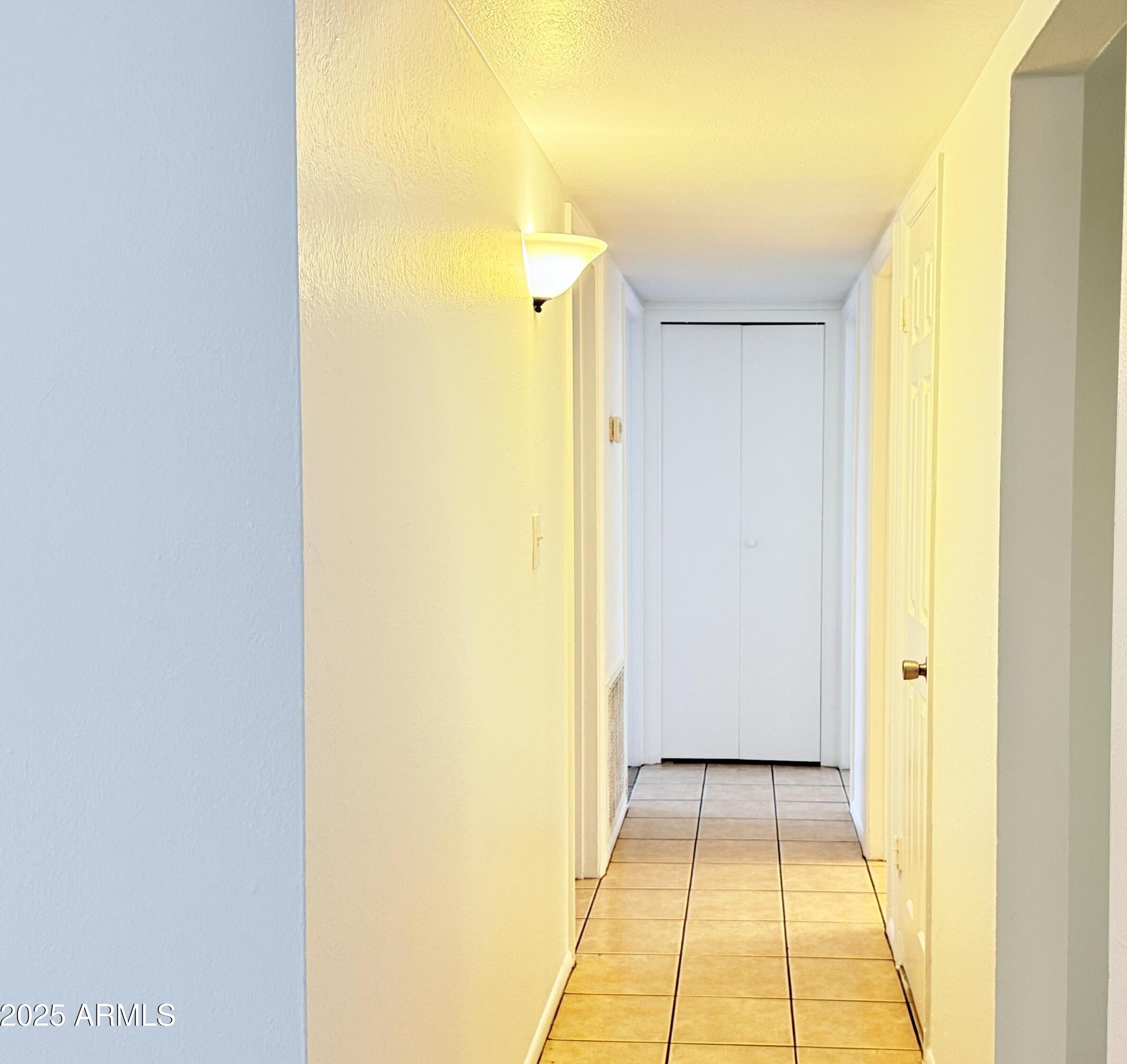 Photo #11