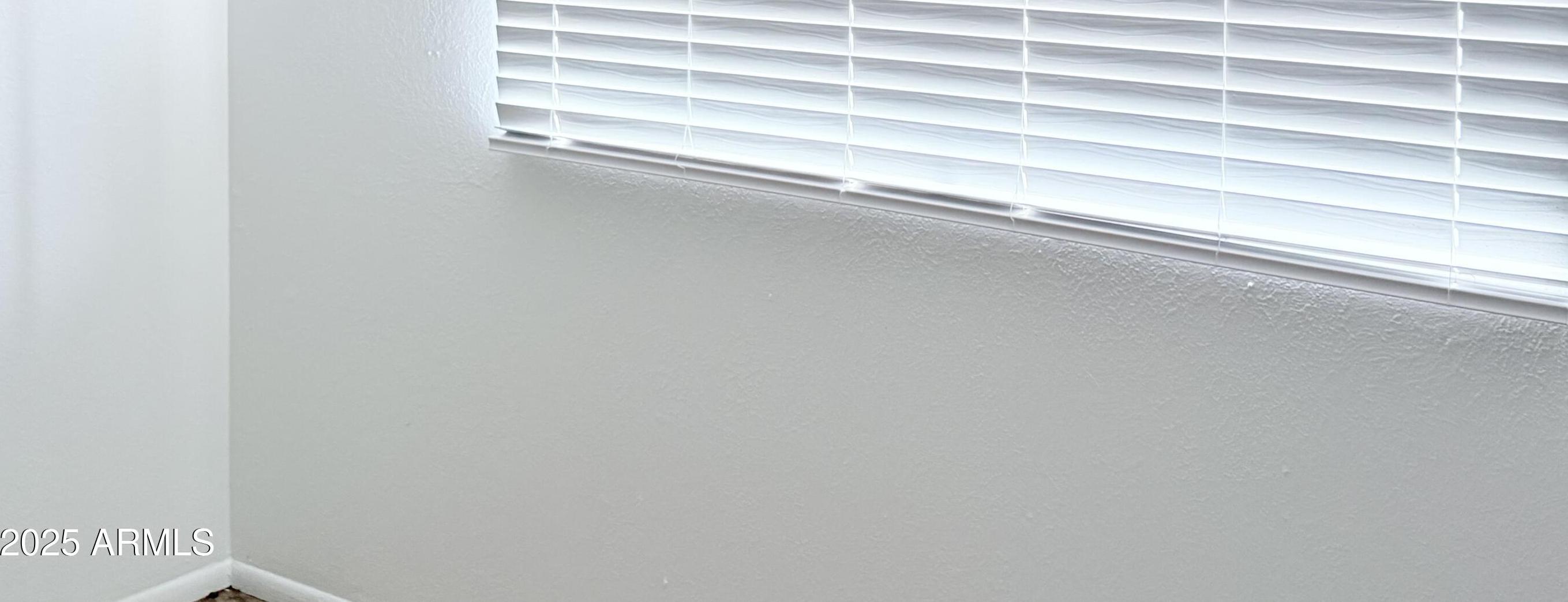 Photo #23