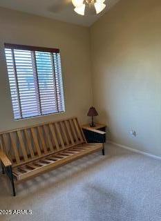 Photo #15