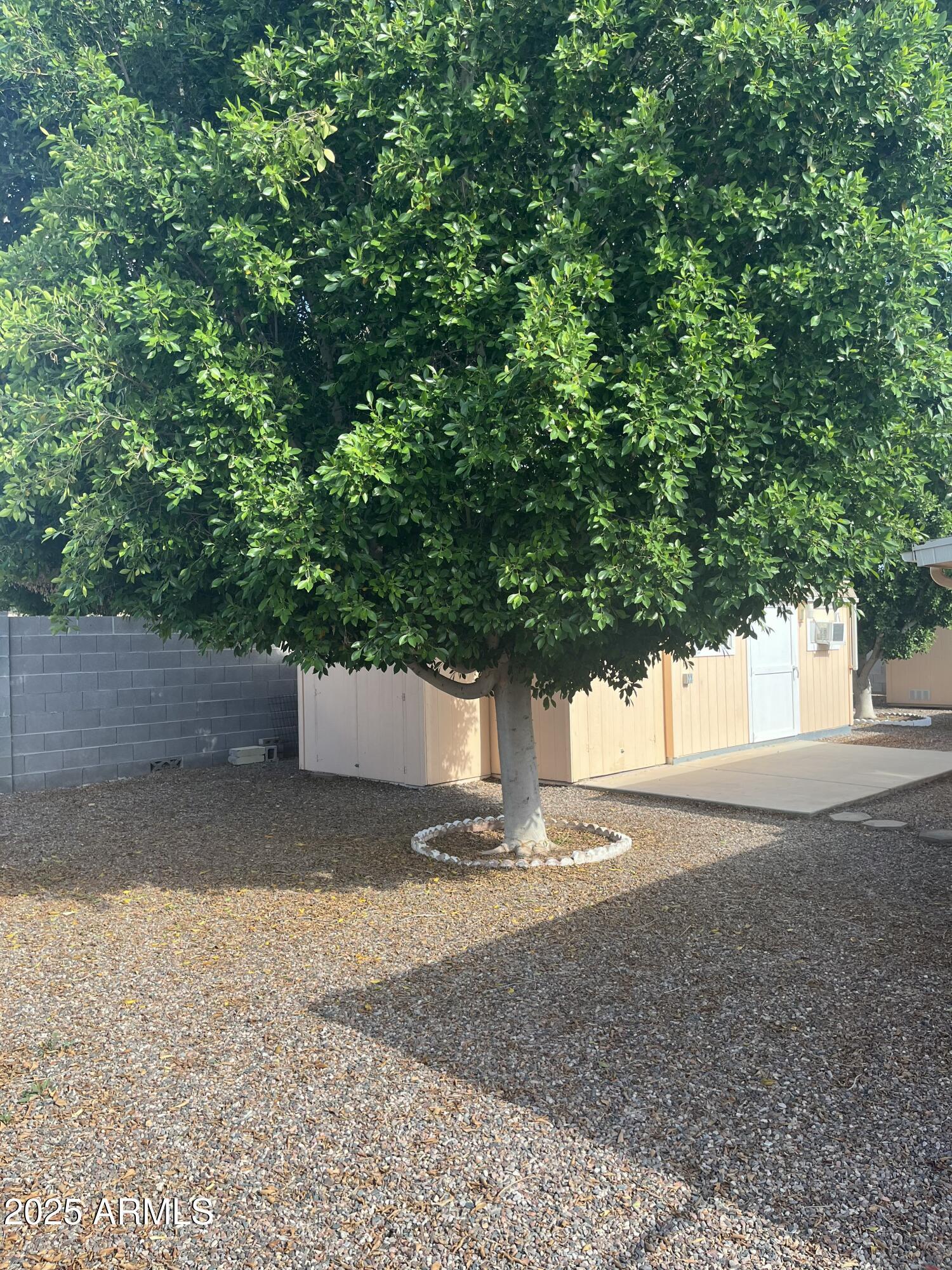Photo #34