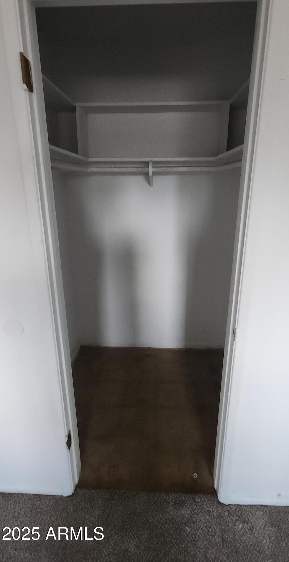 Photo #7