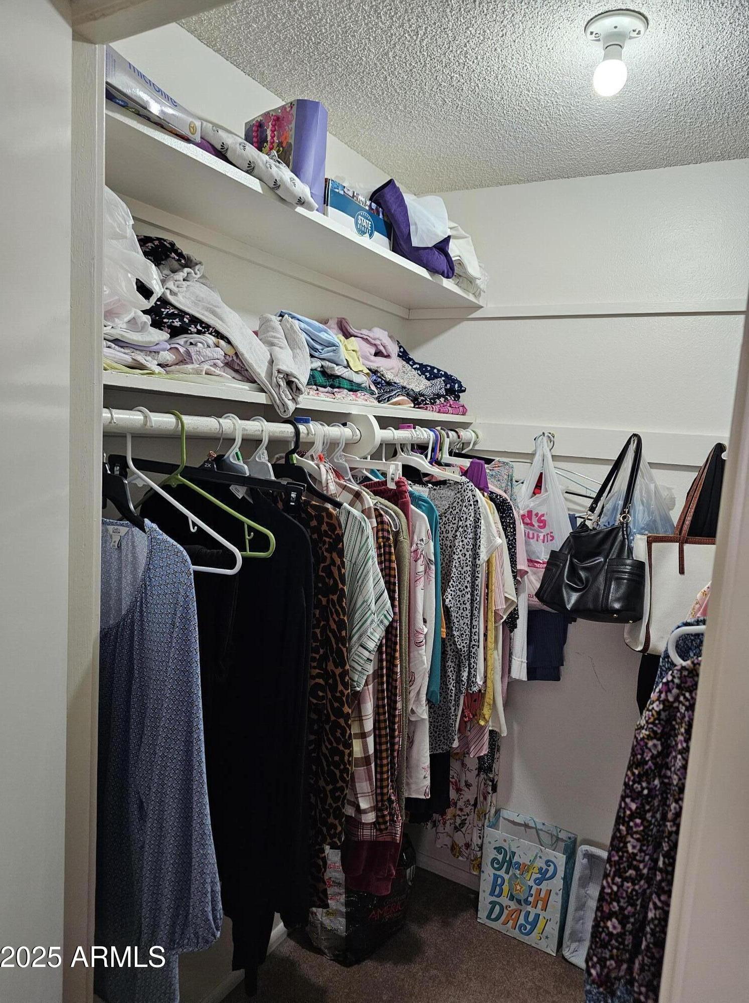 Photo #13