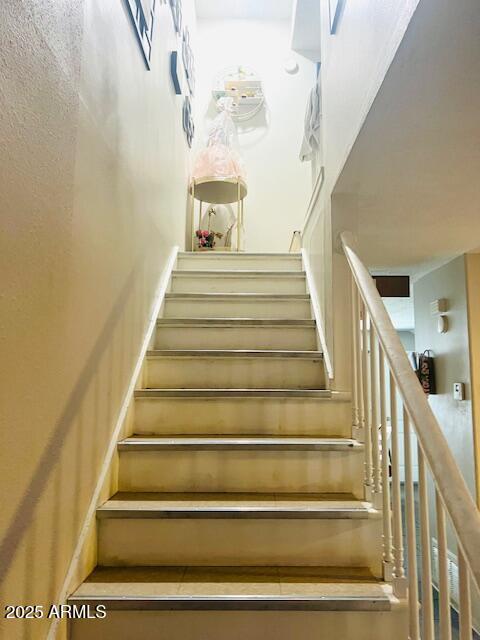Photo #27