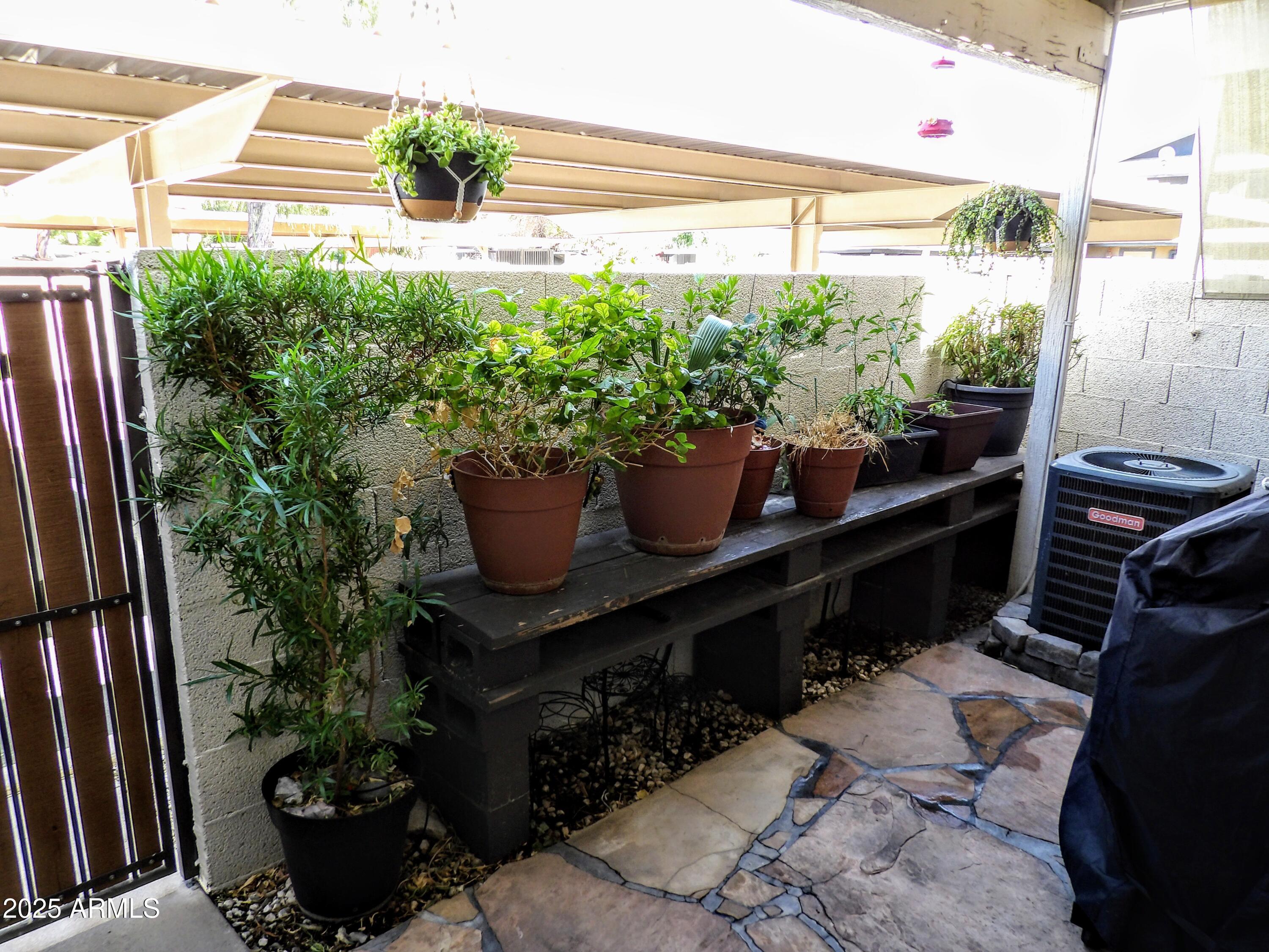 Photo #12