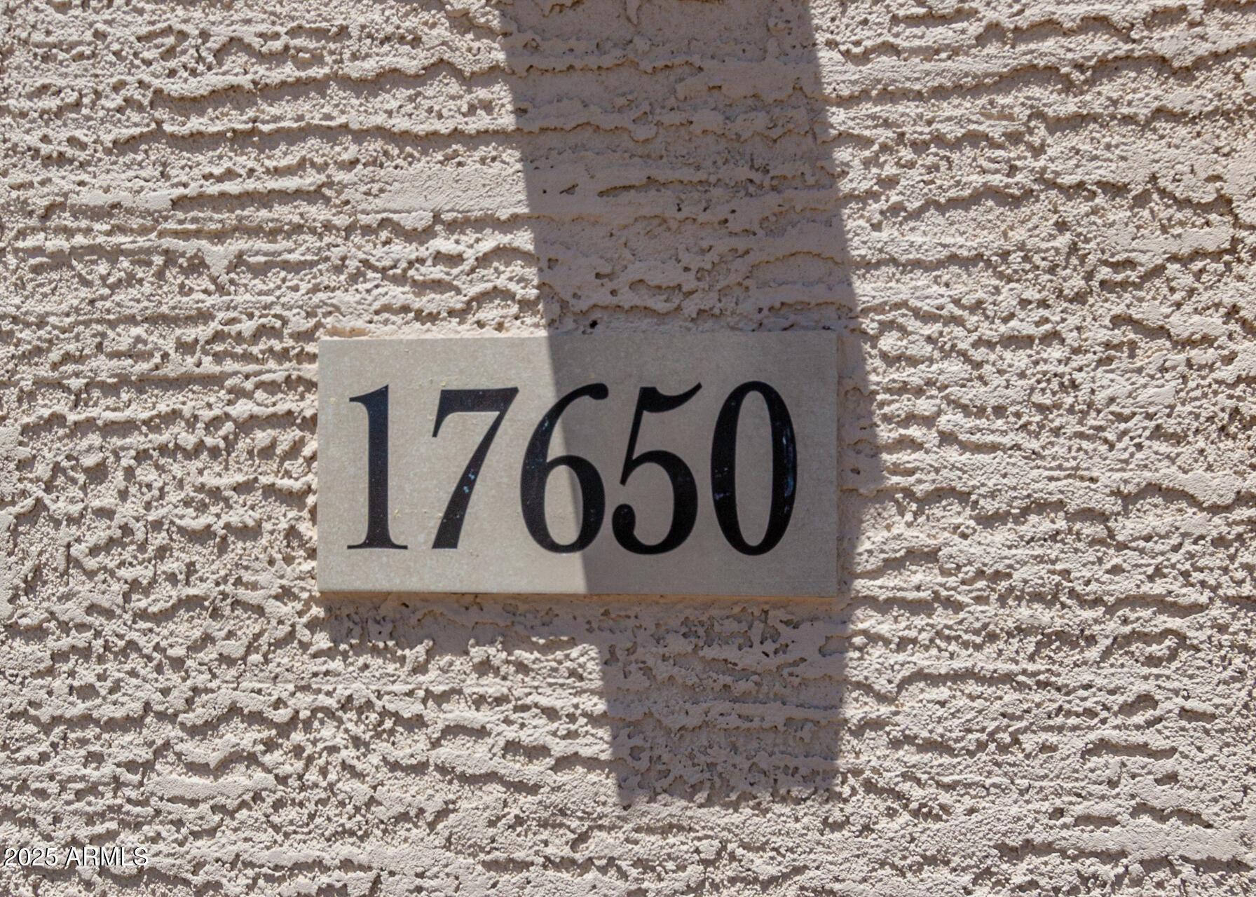 Photo #28