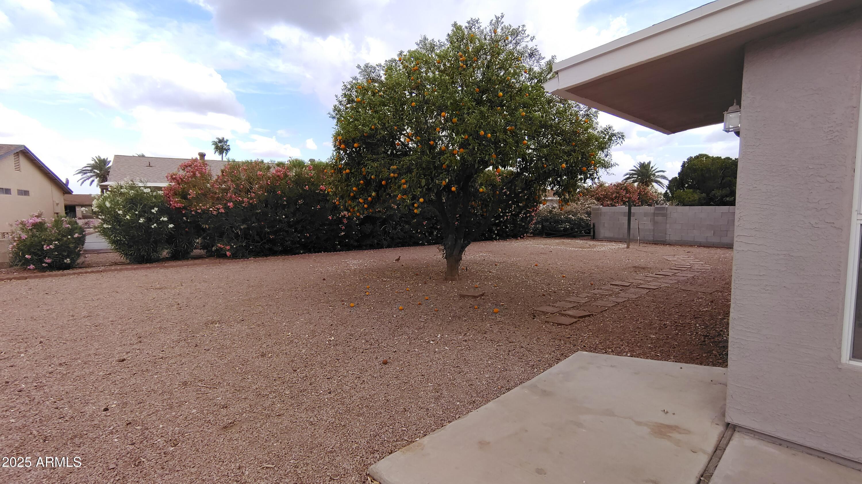 Photo #29