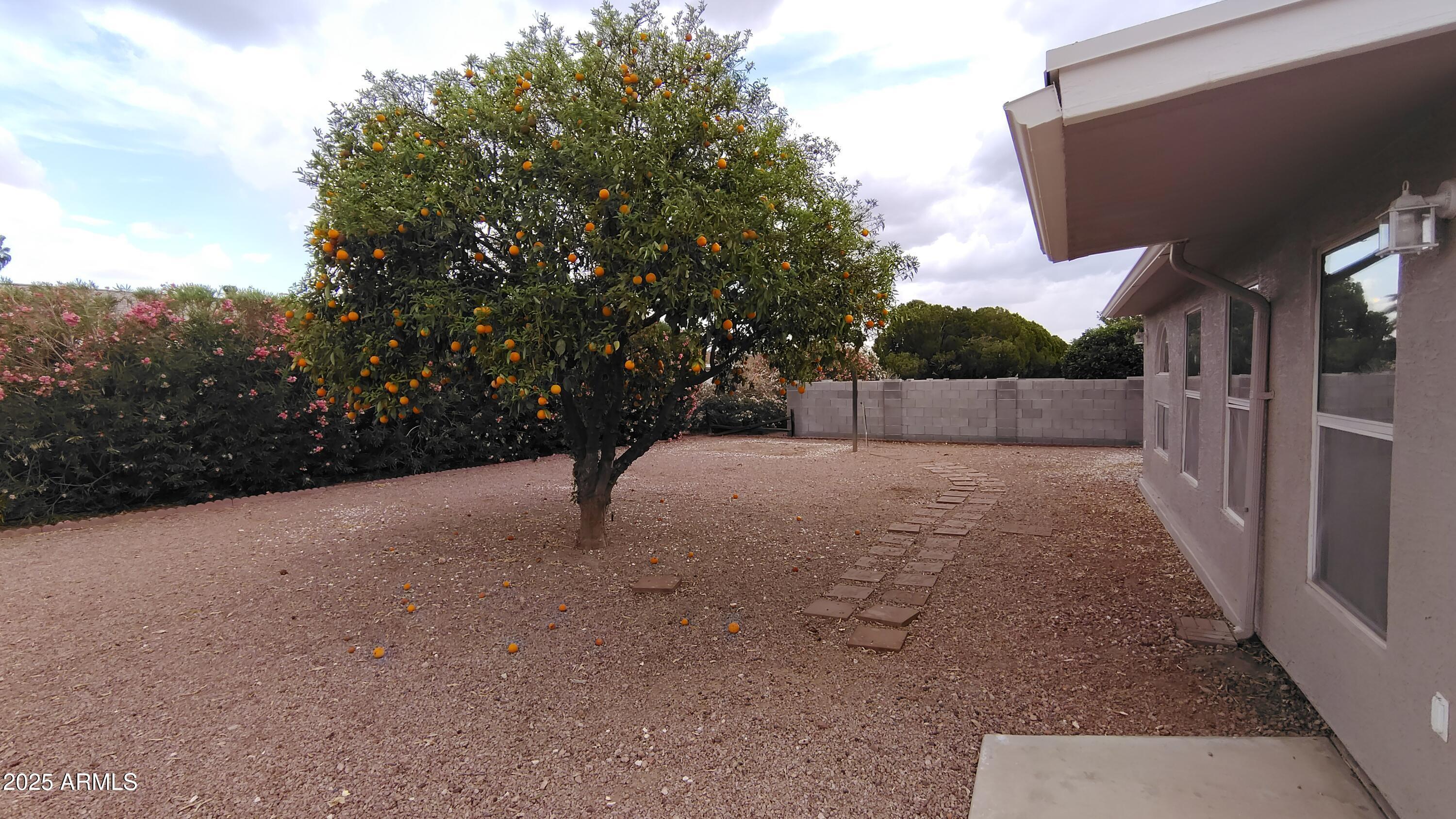 Photo #30