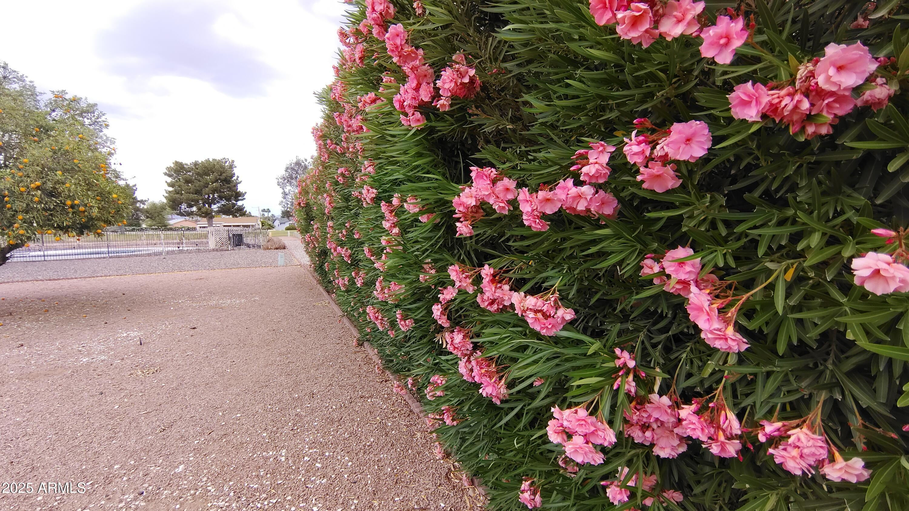 Photo #32