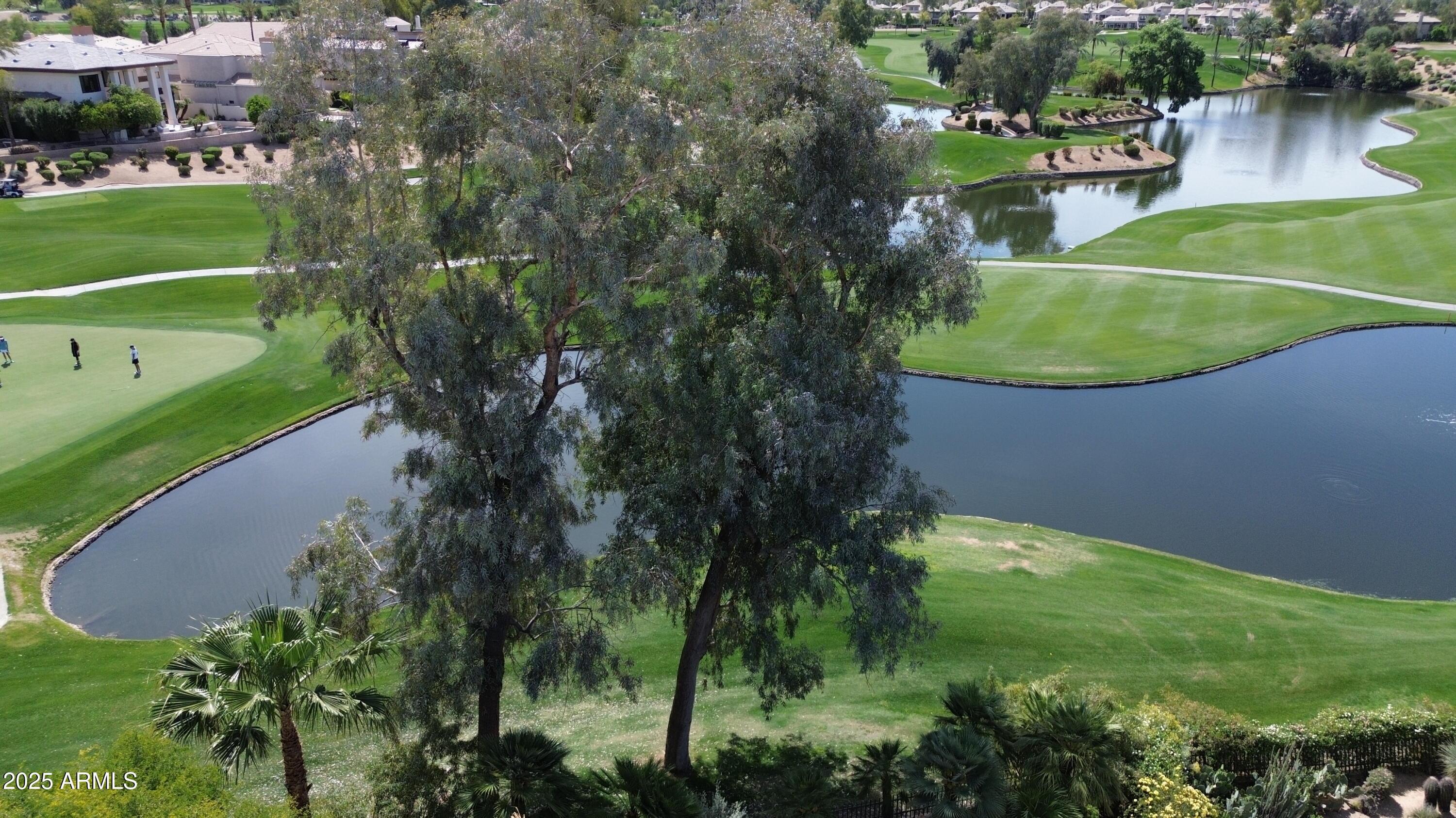 Photo #51