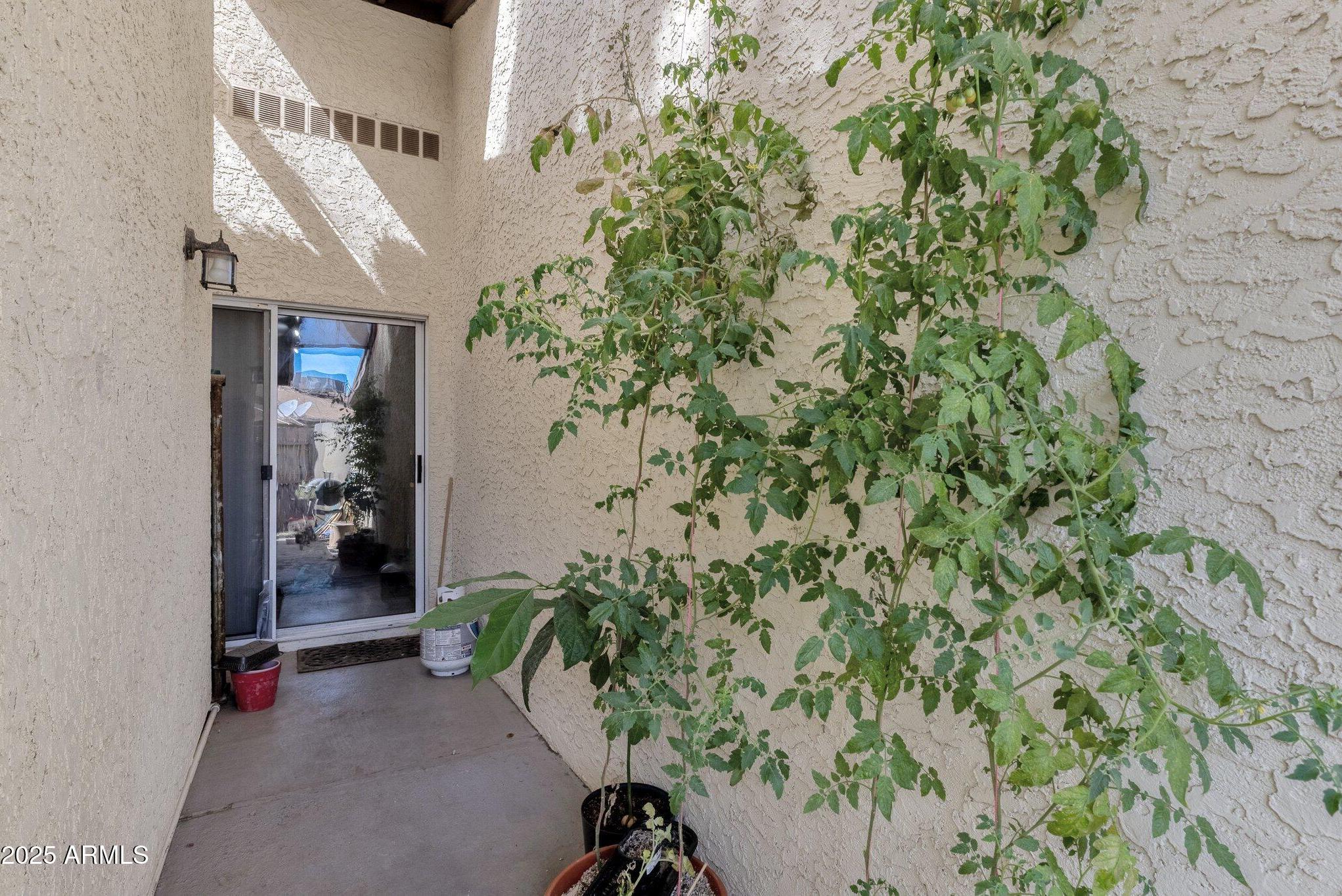 Photo #12