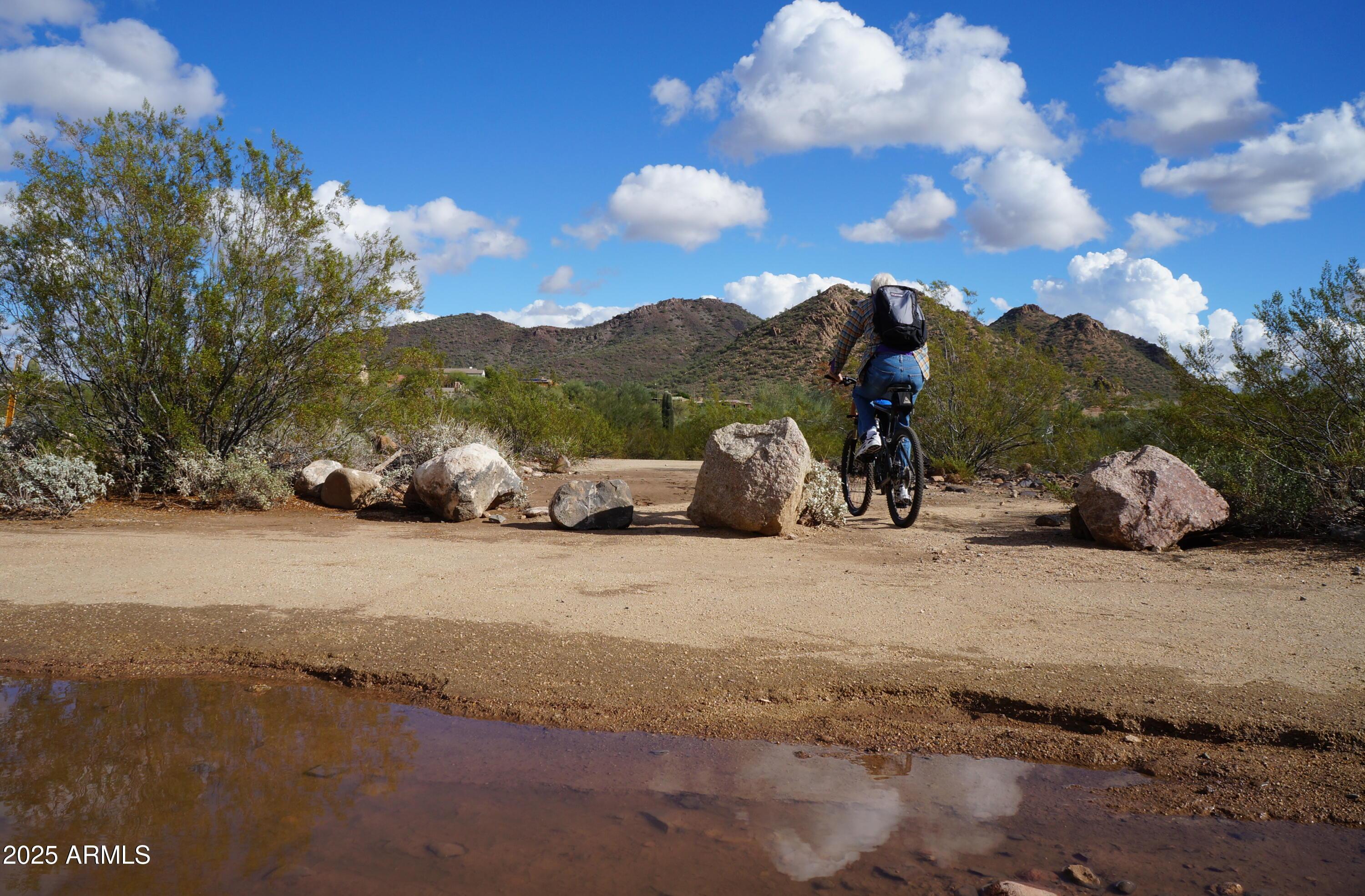 Photo #48