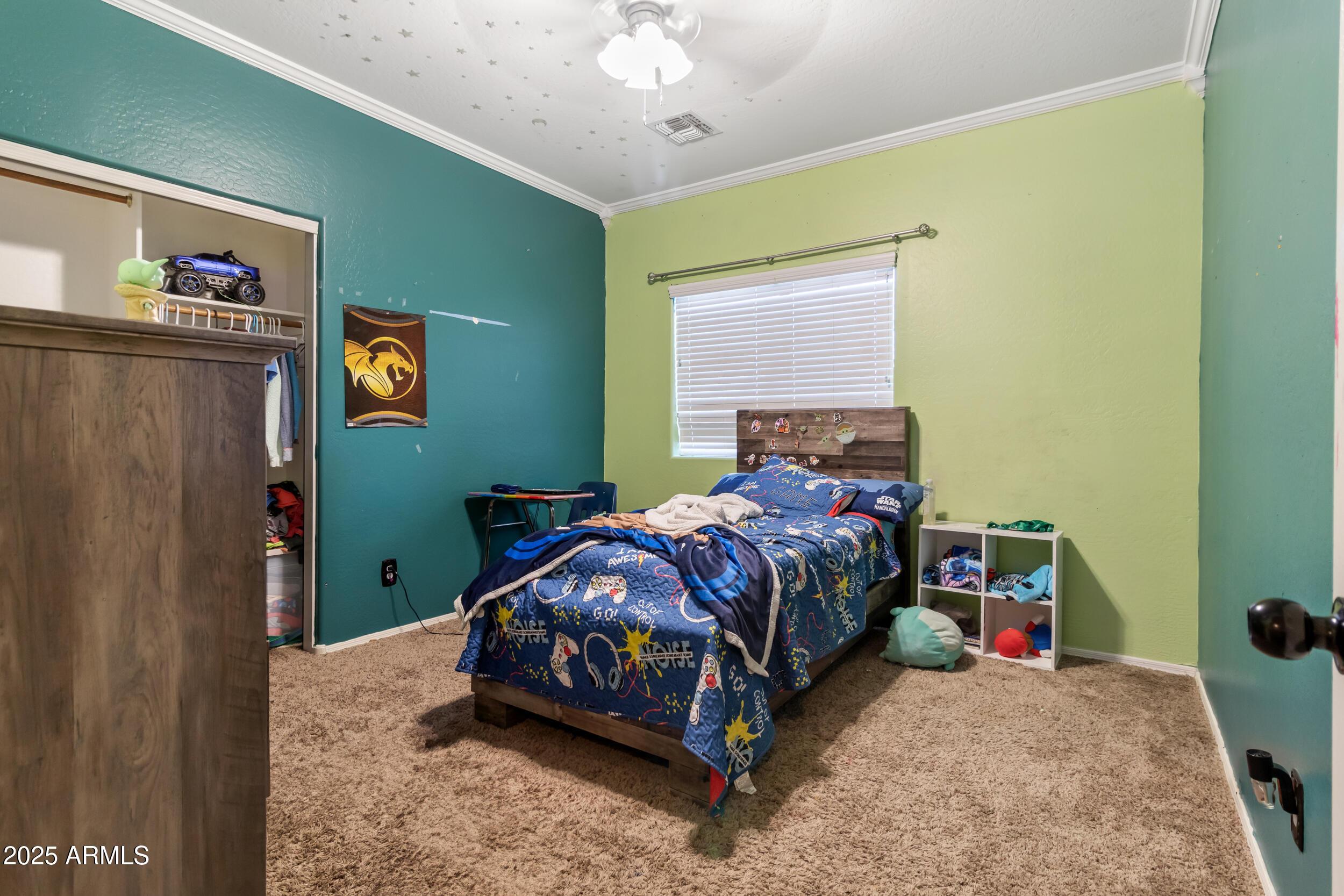 Photo #15