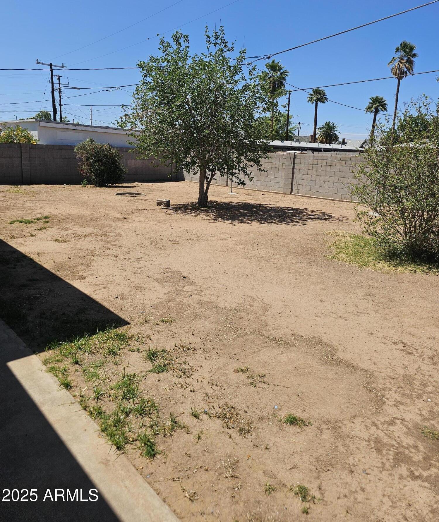 Photo #23
