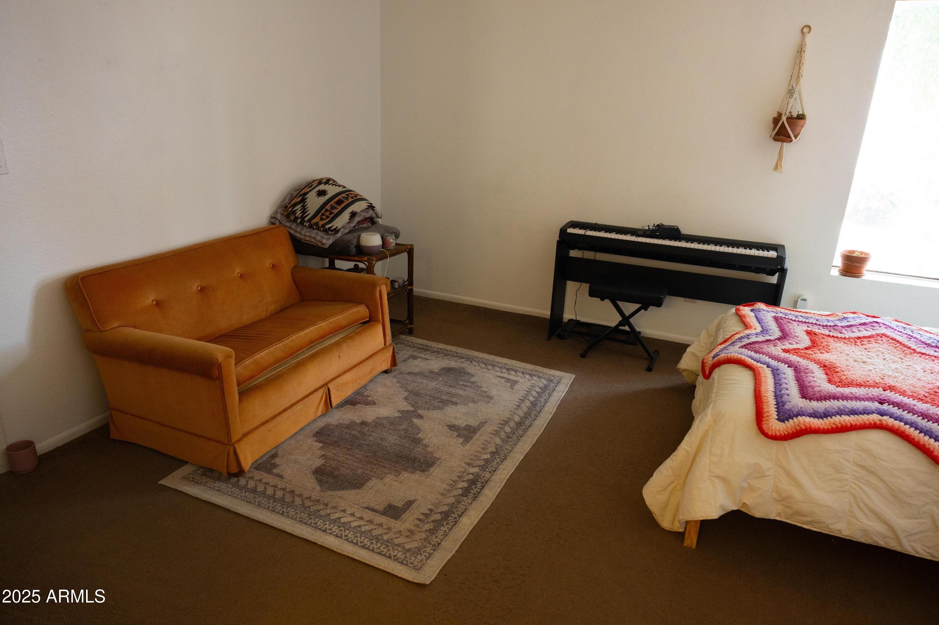 Photo #16