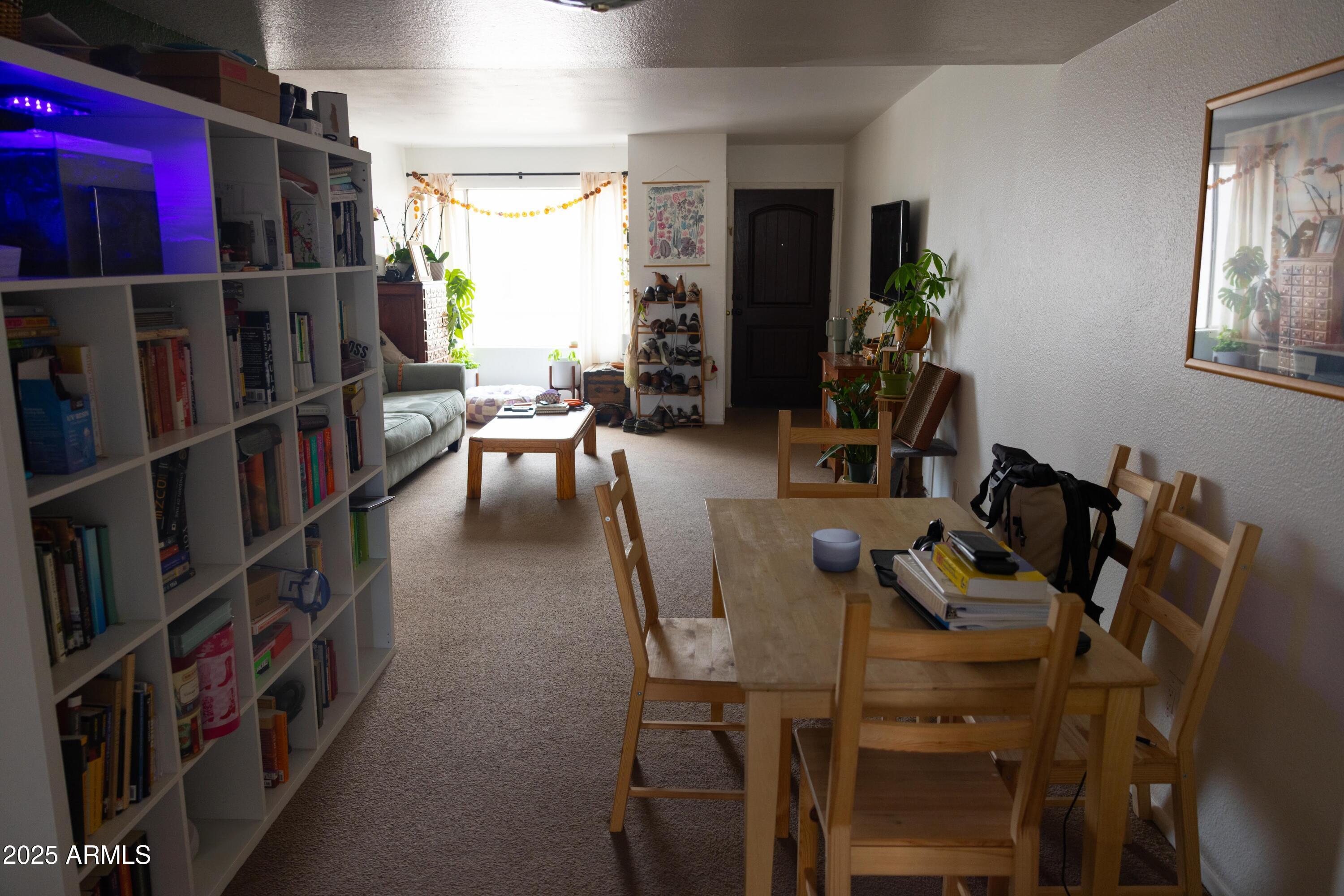 Photo #7