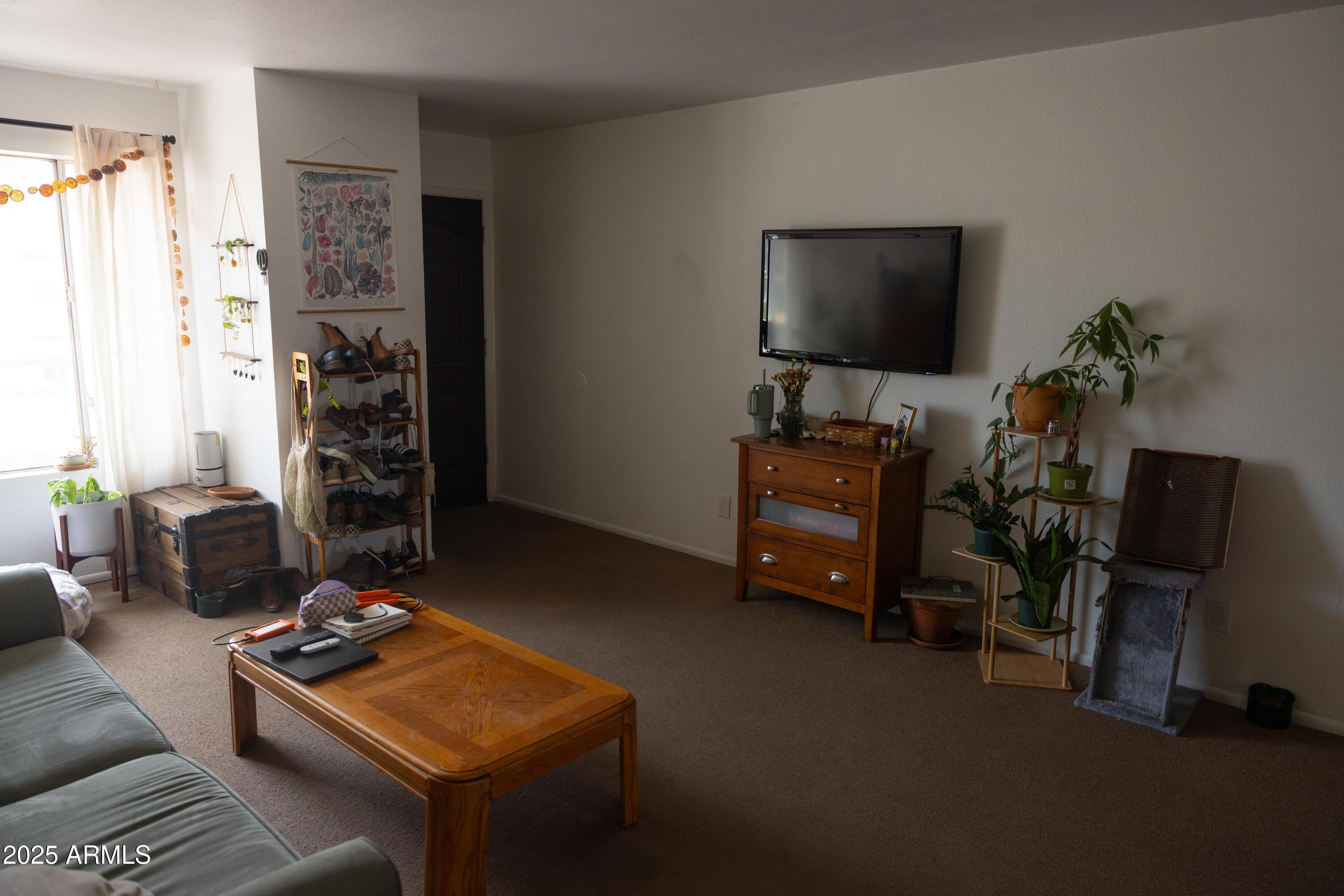 Photo #4