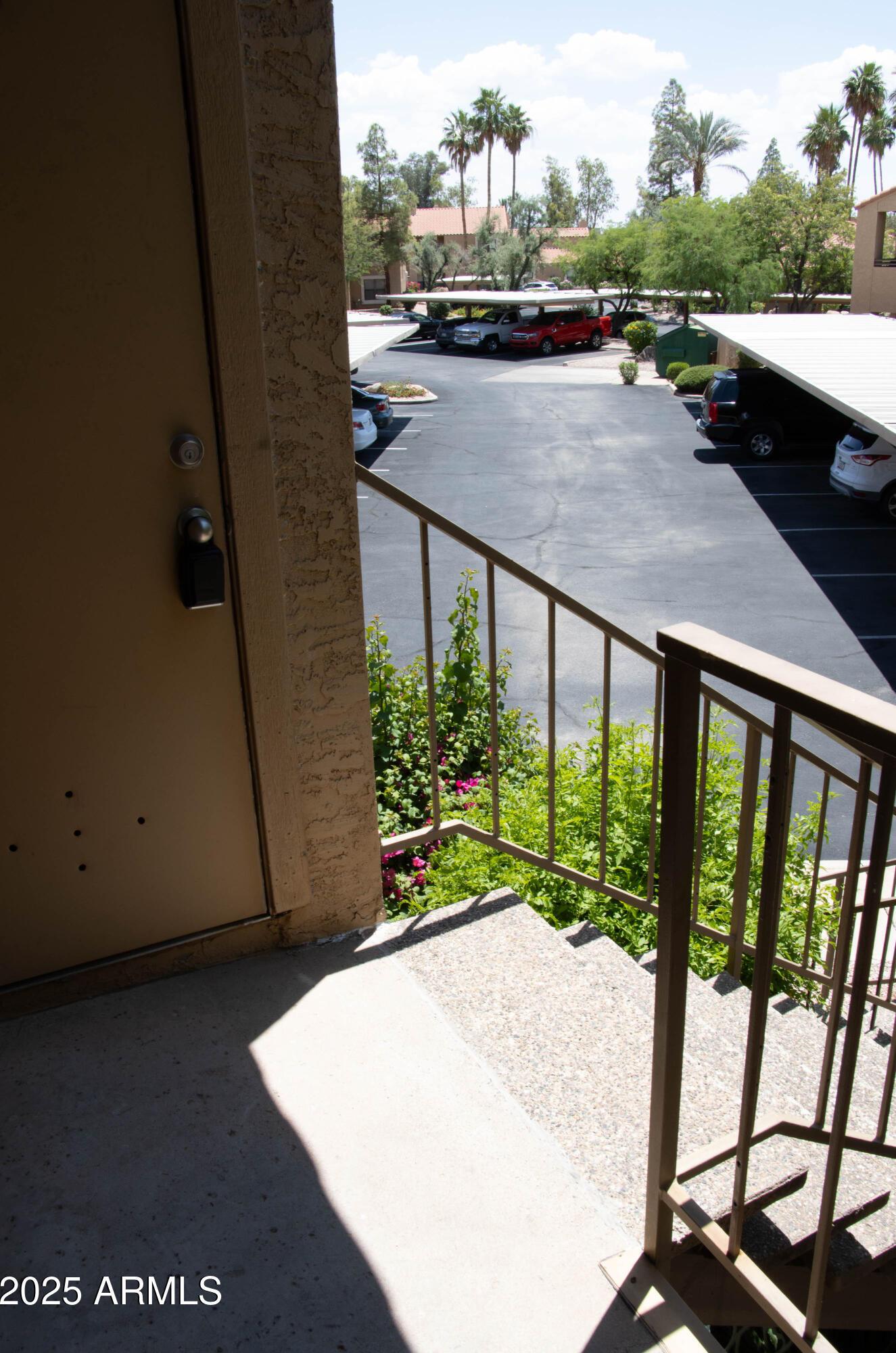 Photo #45