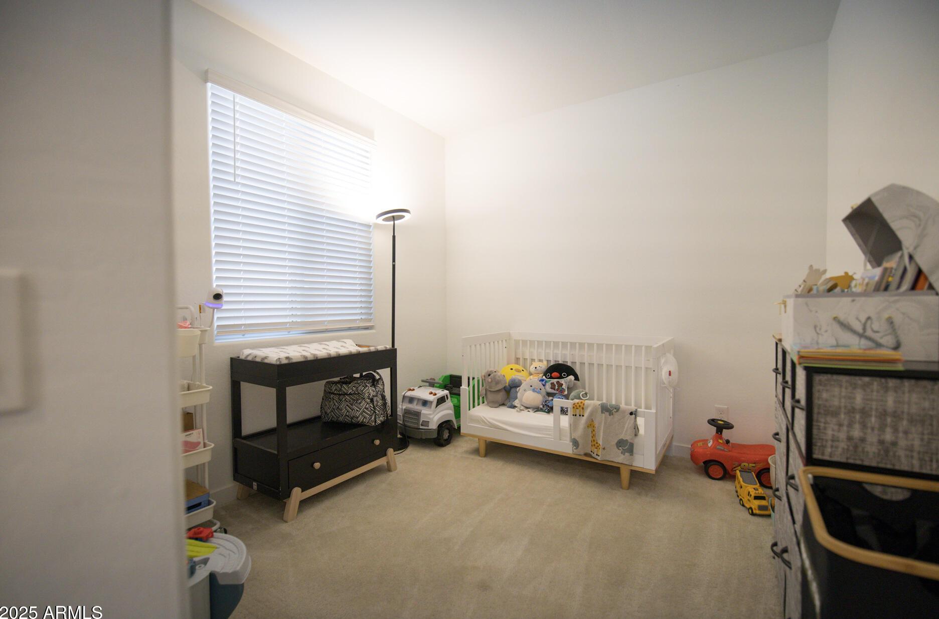 Photo #12