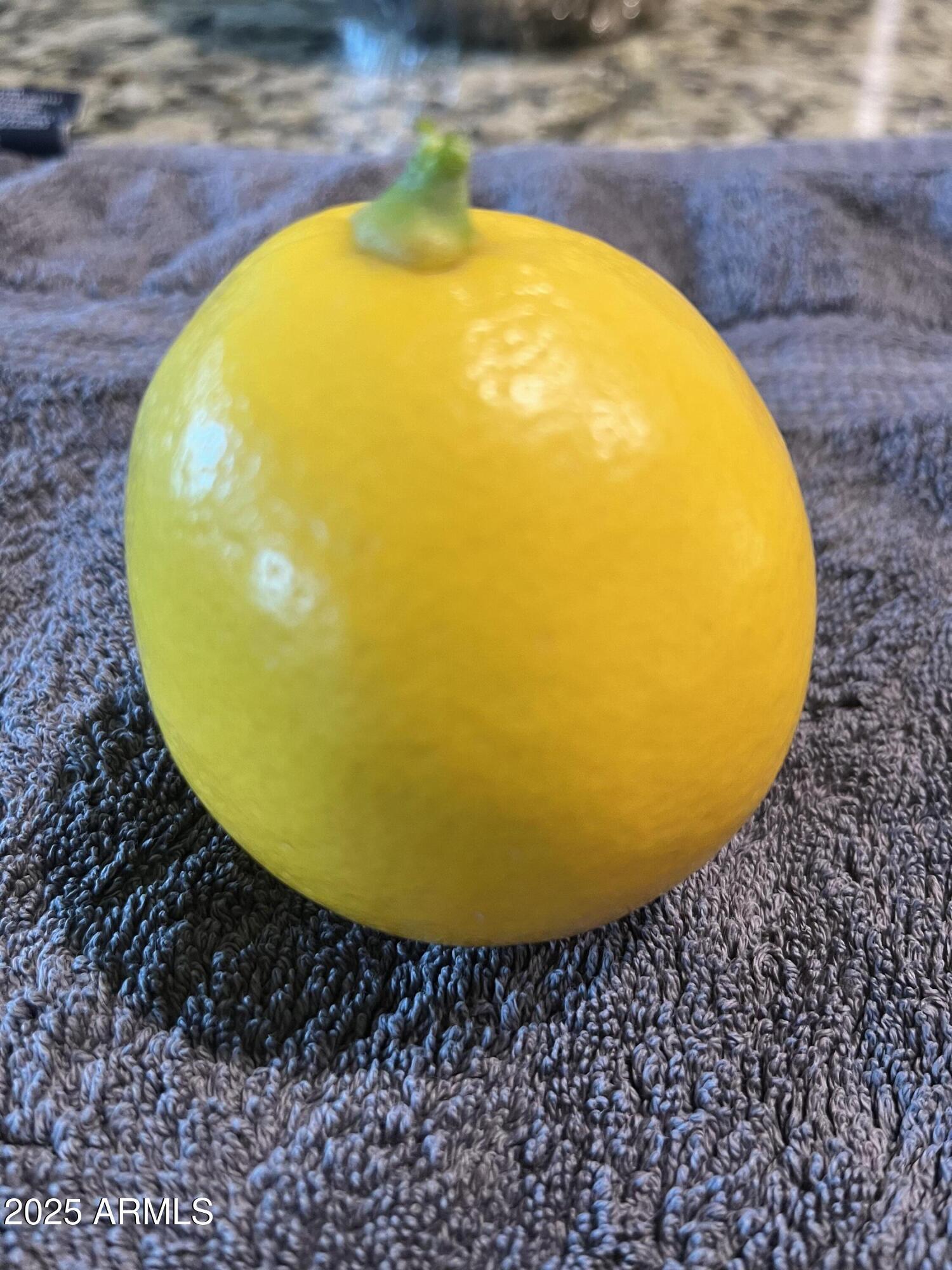 Photo #43
