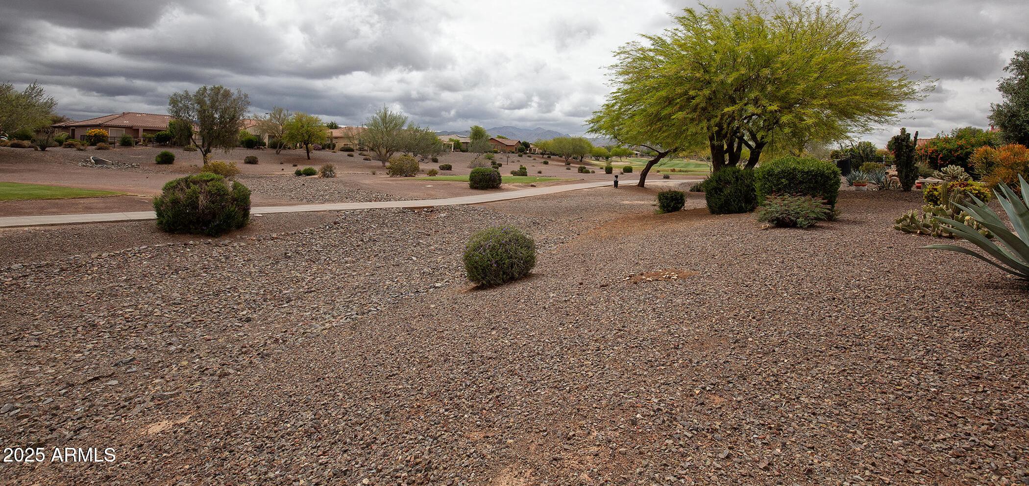 Photo #50
