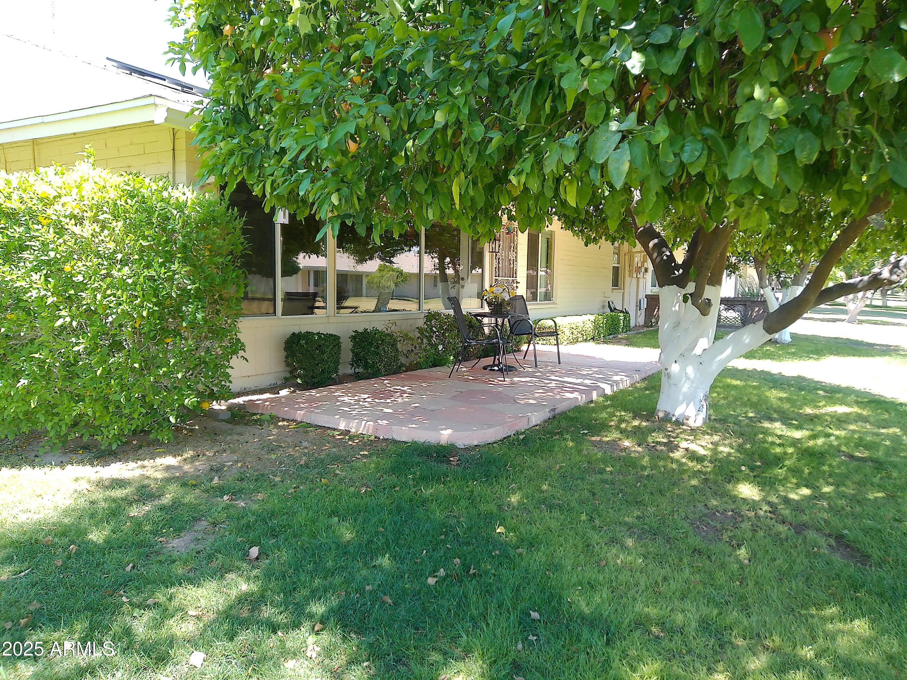 Photo #5