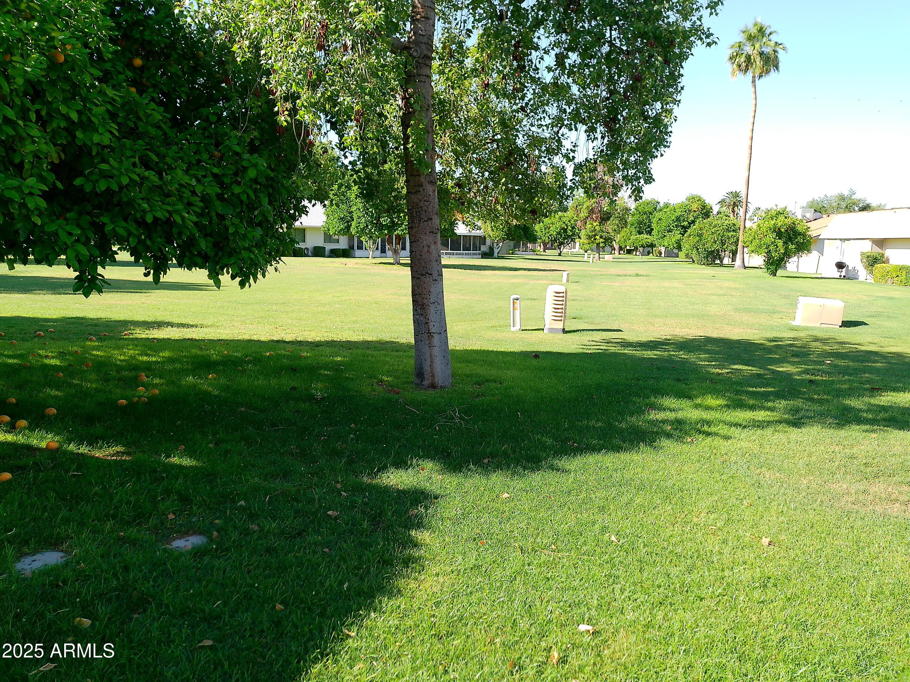 Photo #4