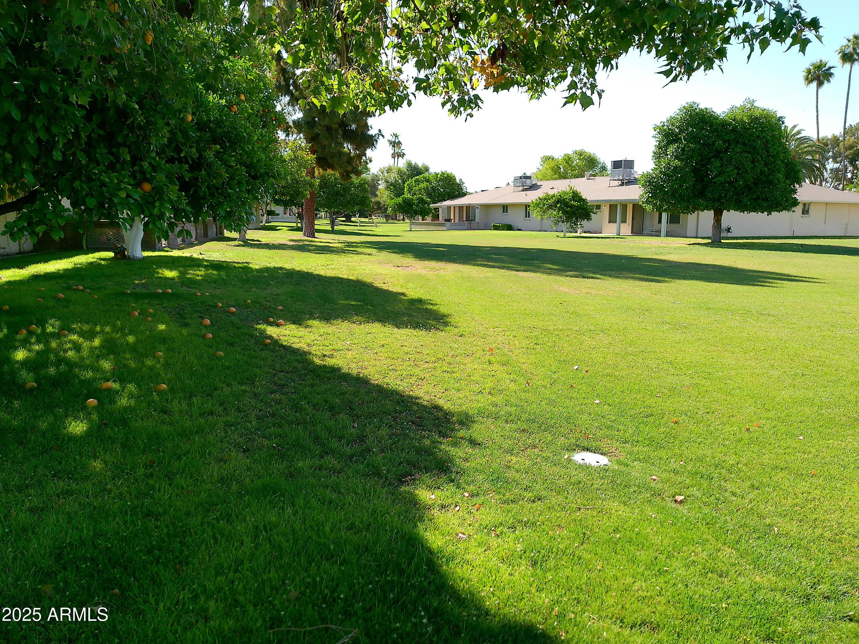 Photo #5