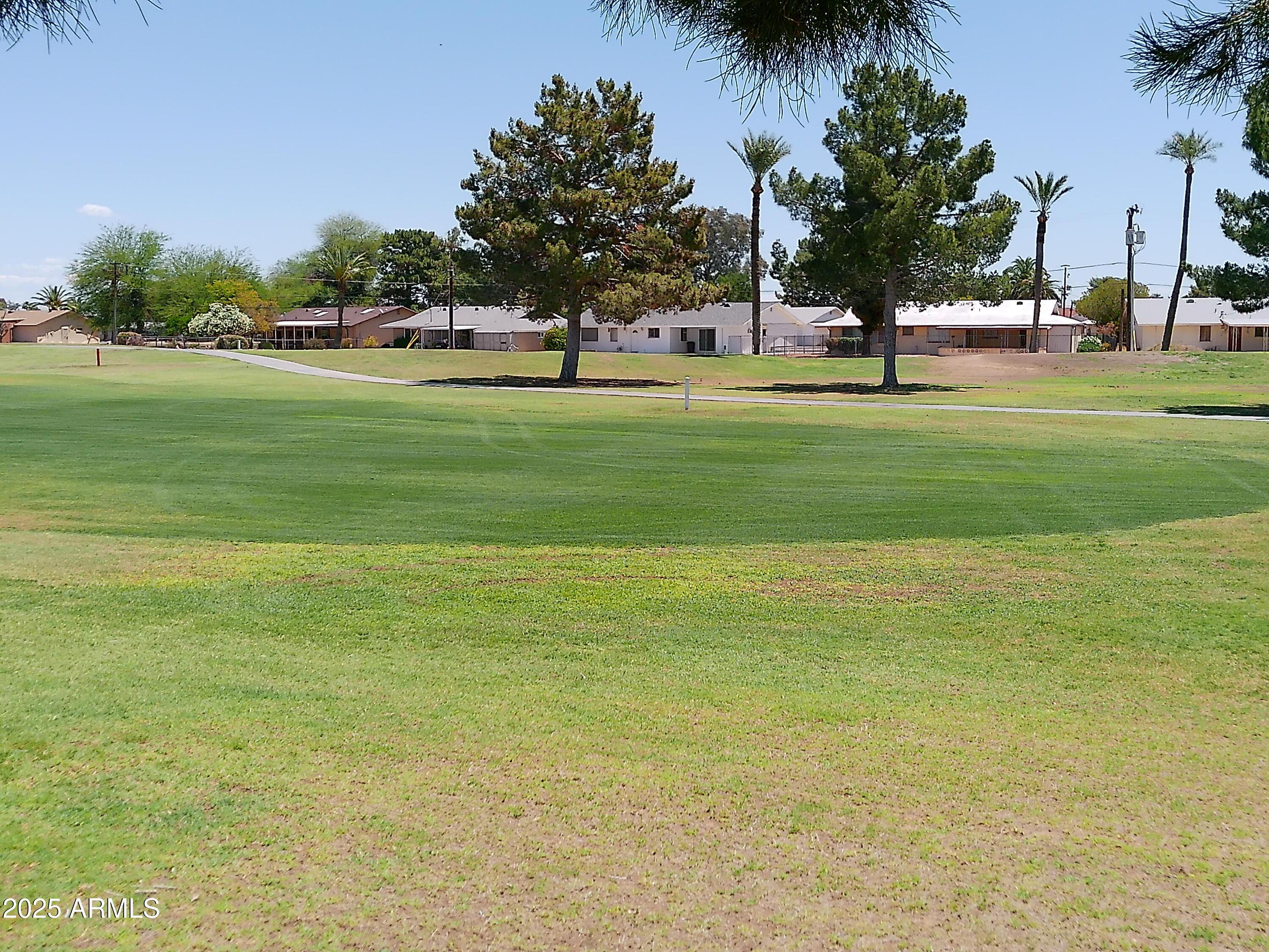Photo #15