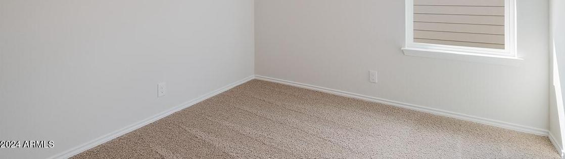 Photo #10