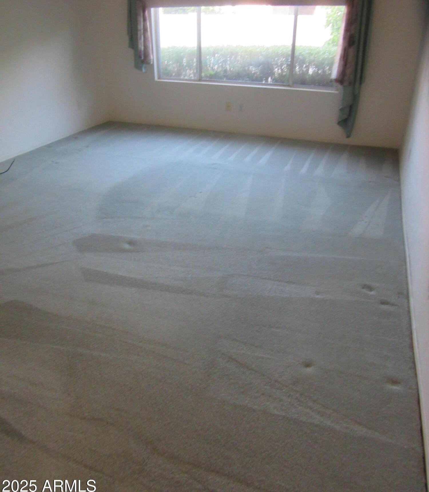 Photo #16