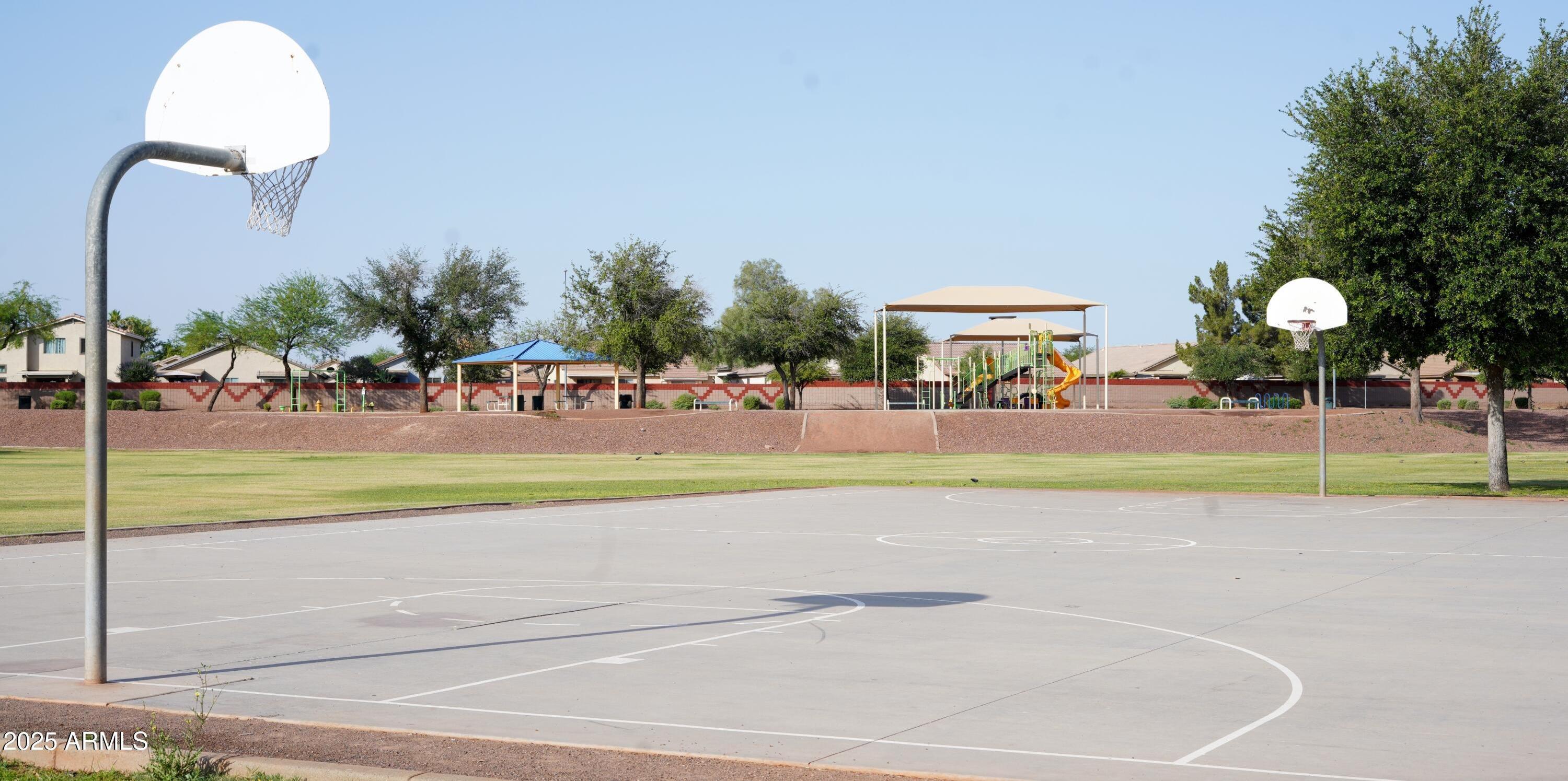 Photo #41