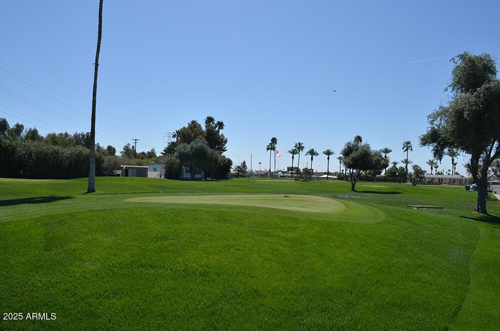 Photo #34