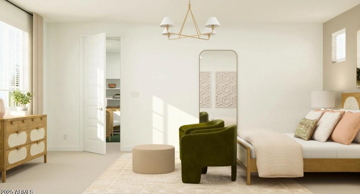 Photo #12