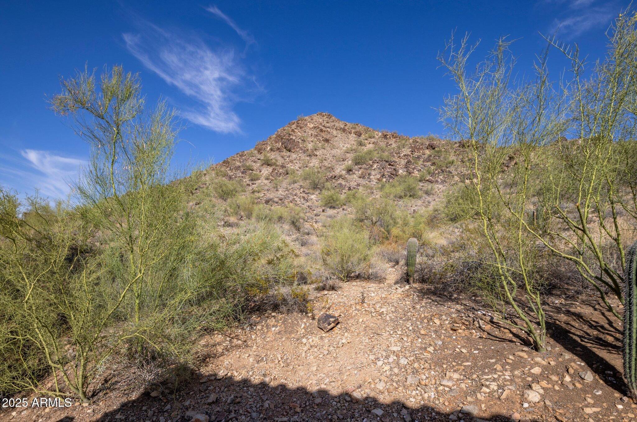 Photo #31