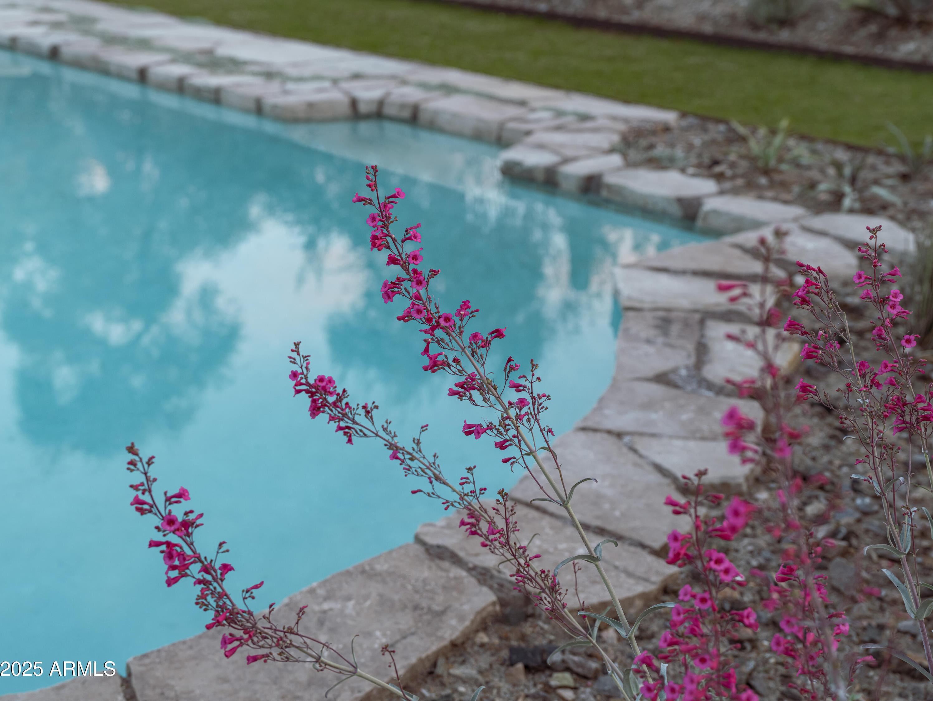 Photo #41