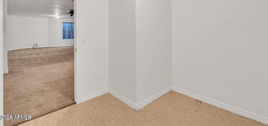 Photo #43