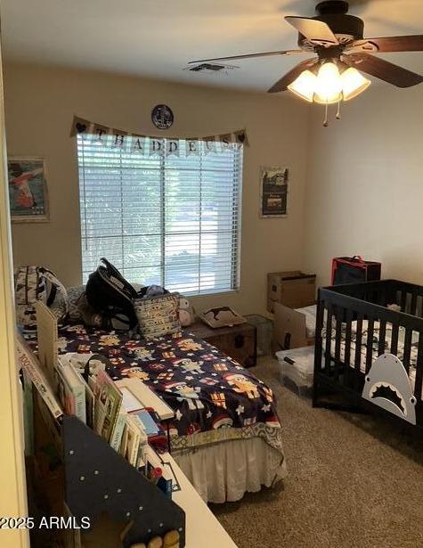 Photo #23