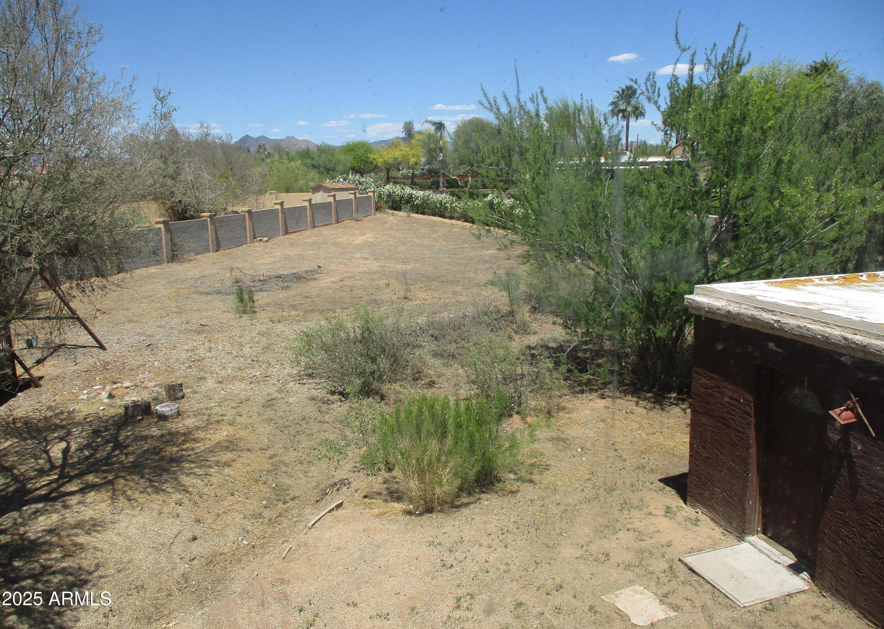 Photo #35