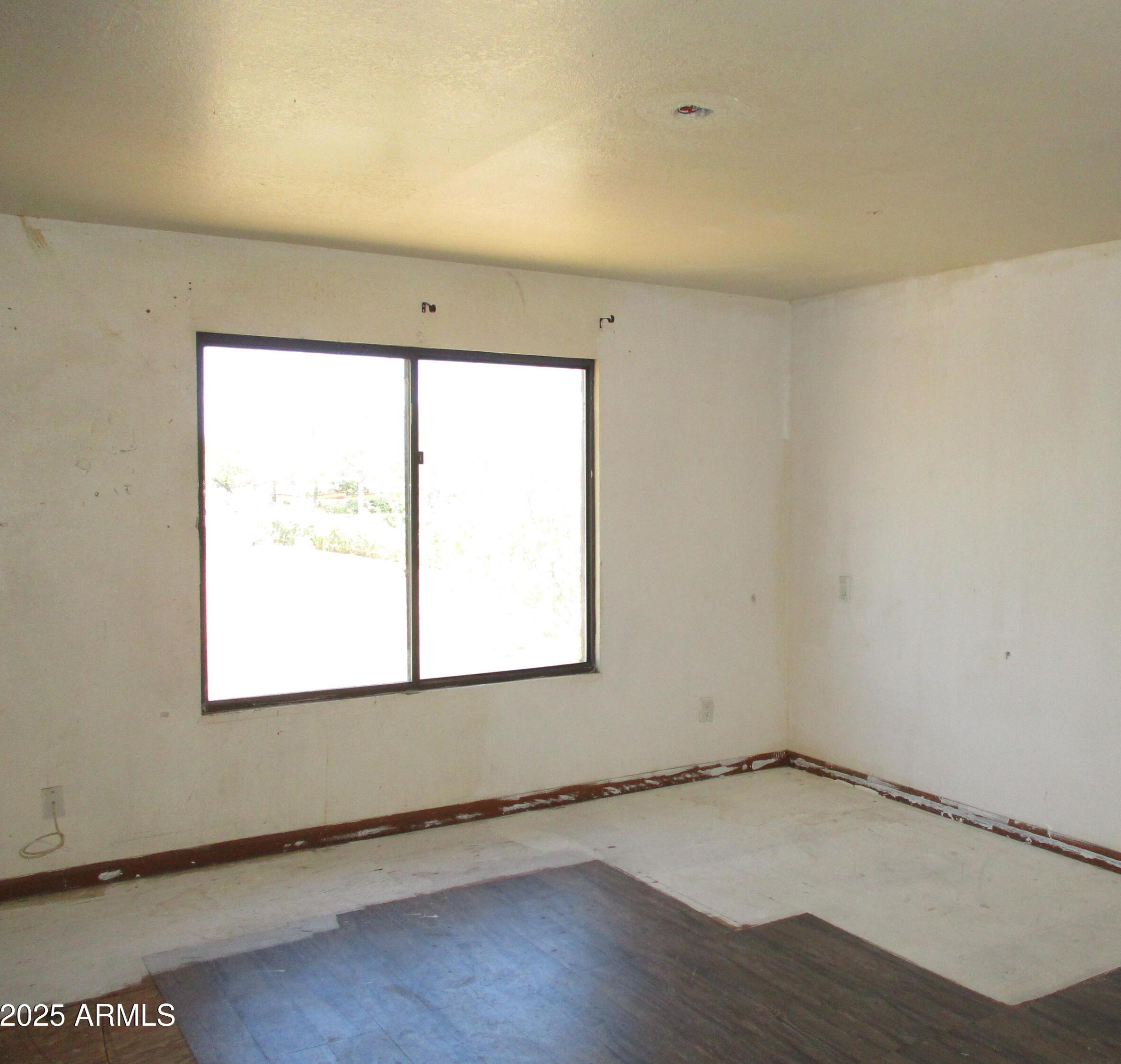 Photo #24