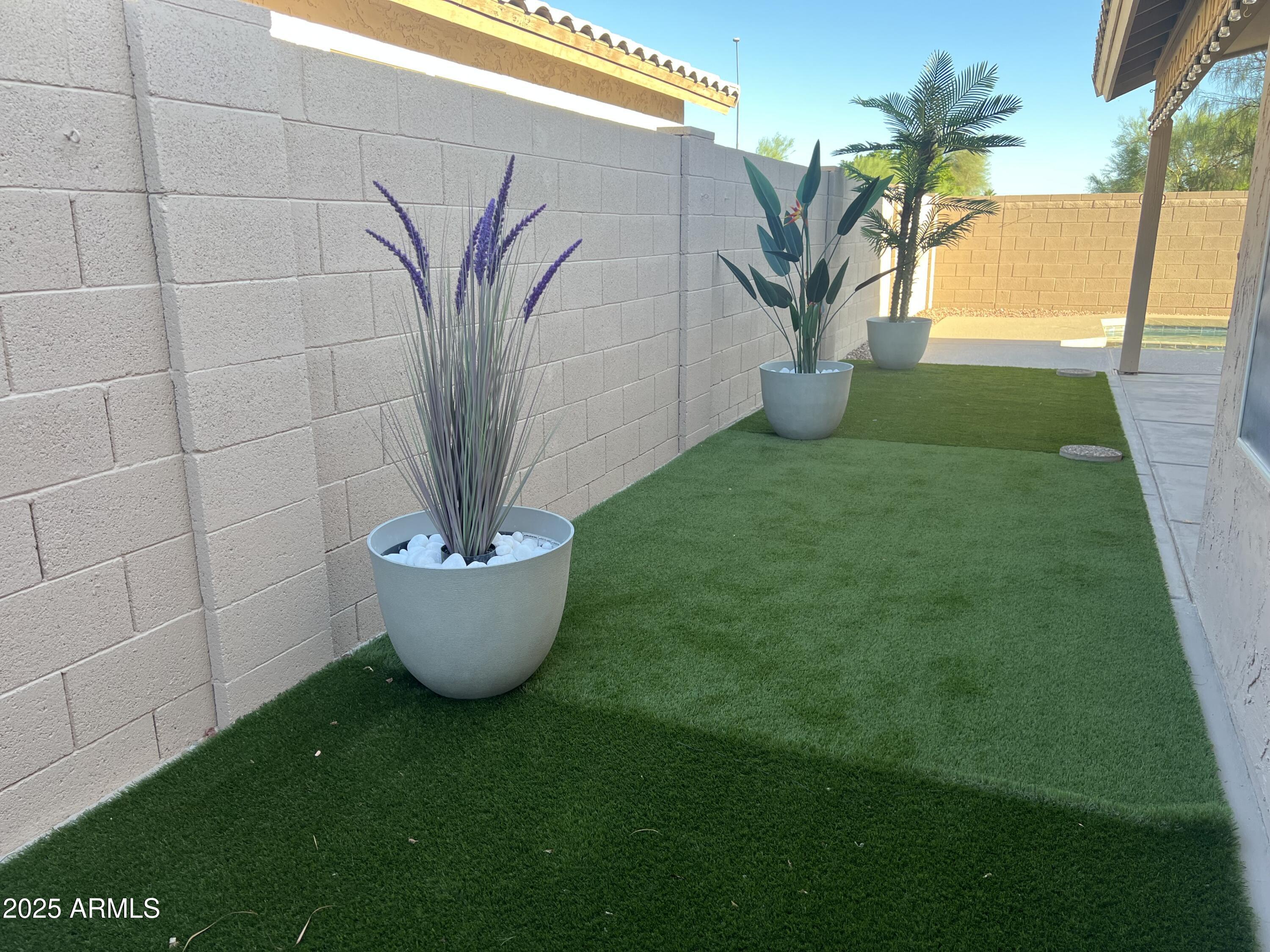 Photo #15