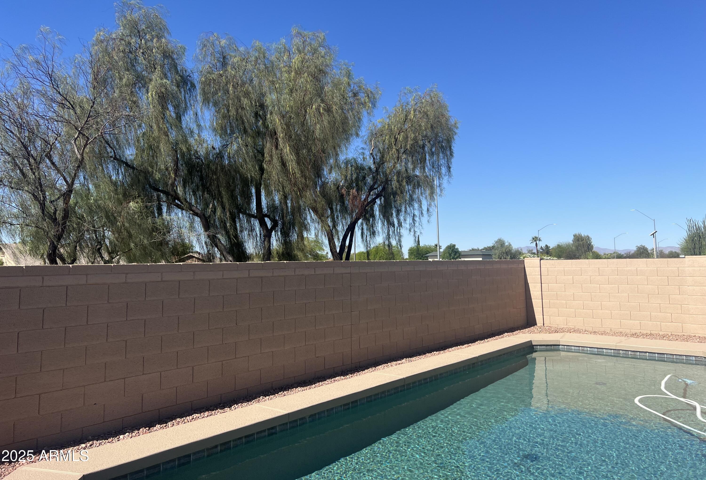 Photo #36