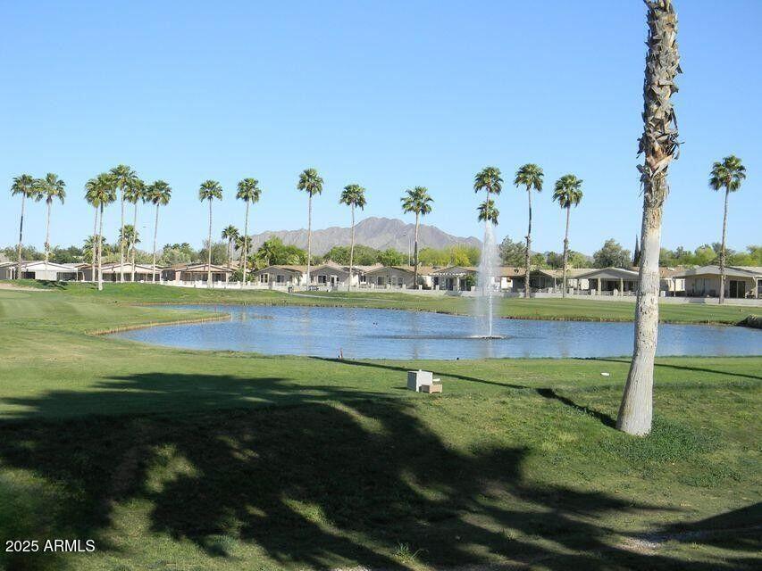 Photo #21