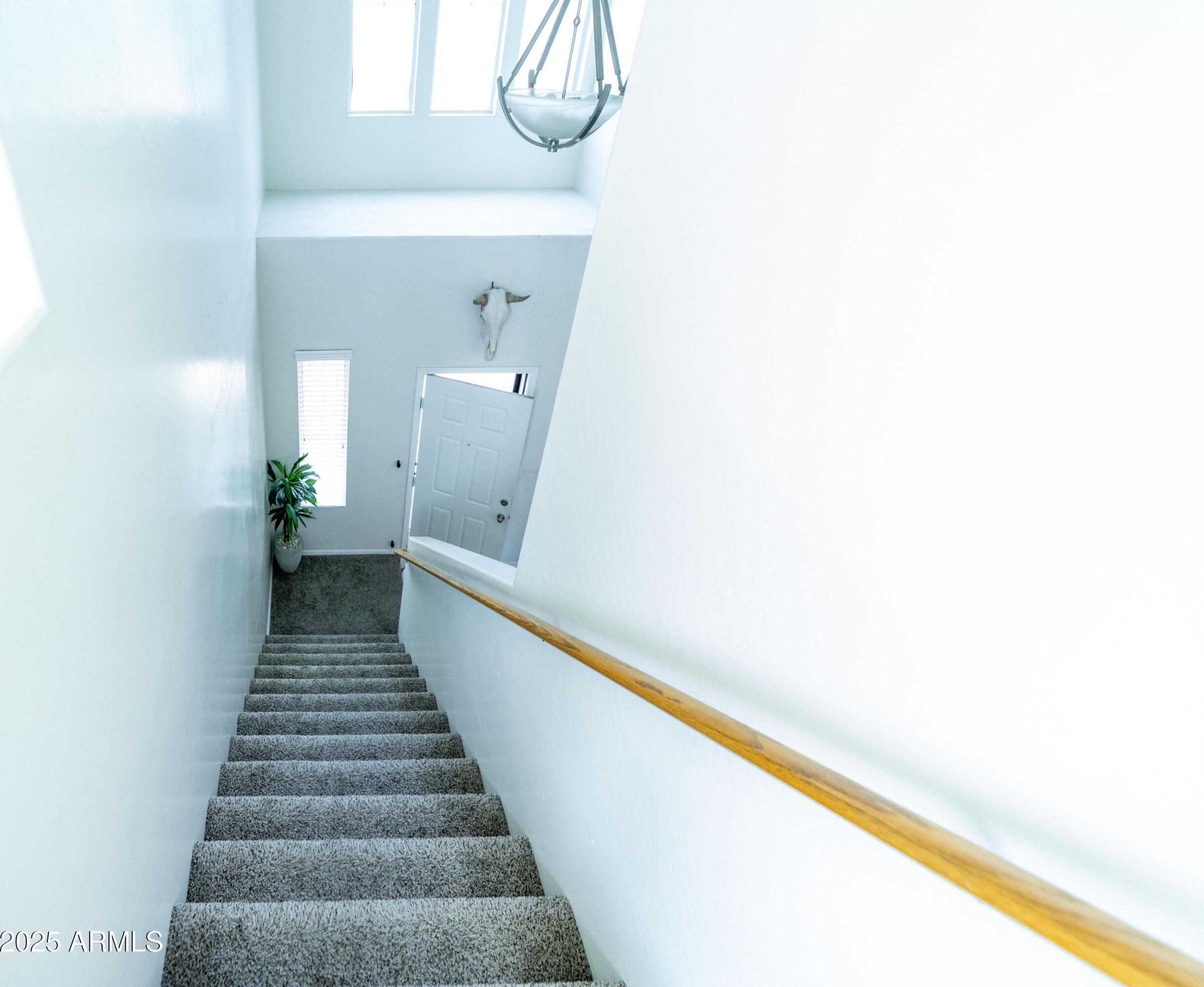 Photo #38