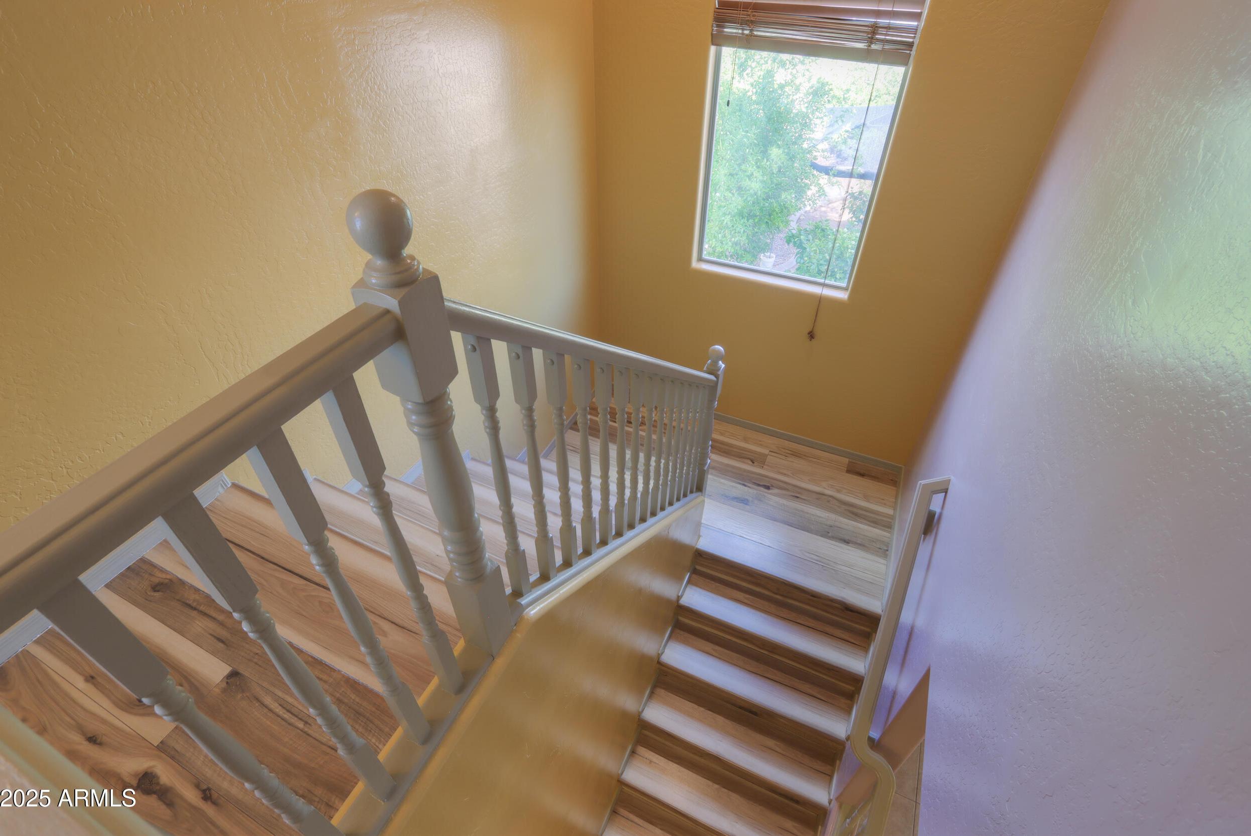Photo #15