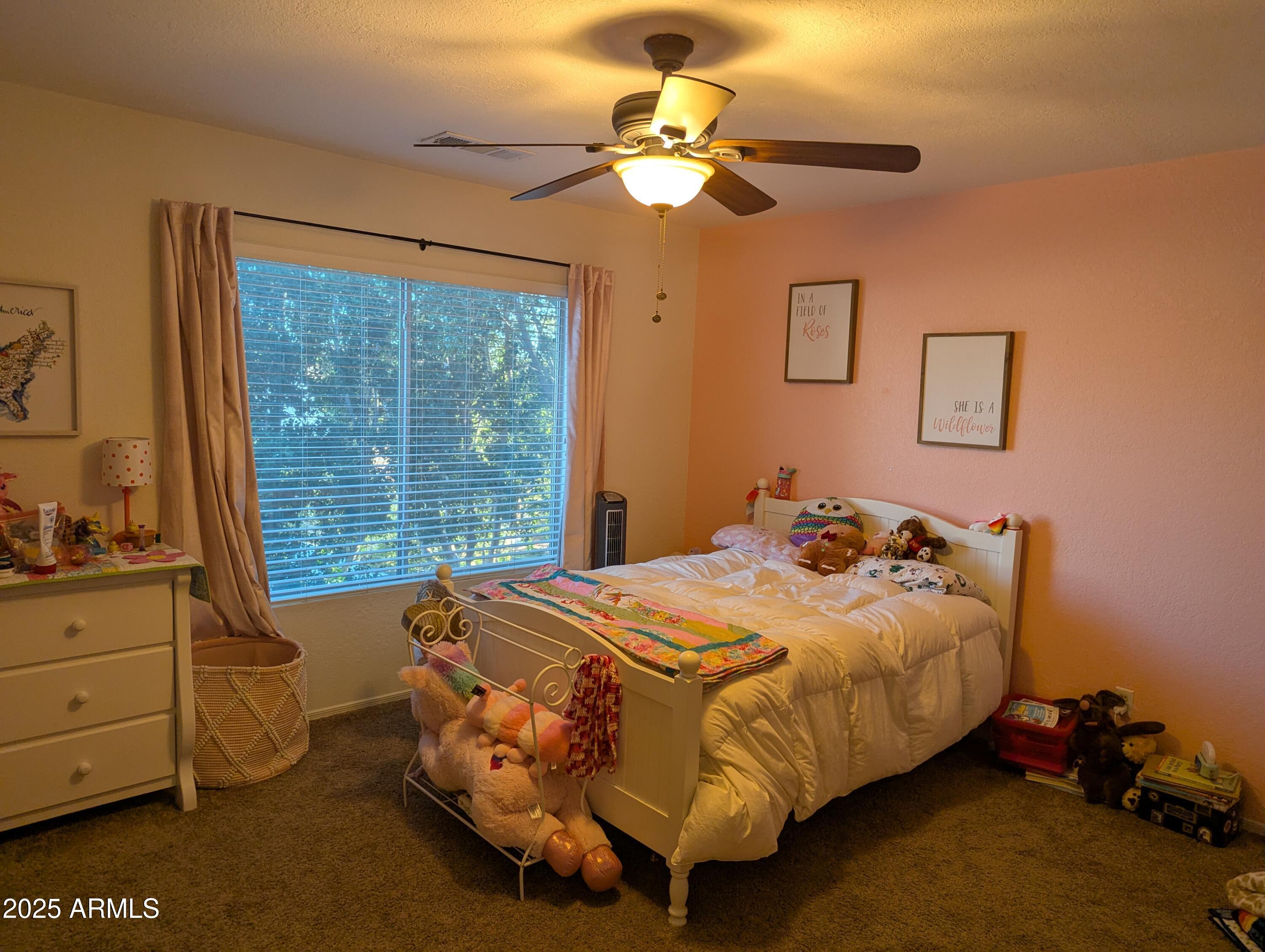 Photo #17