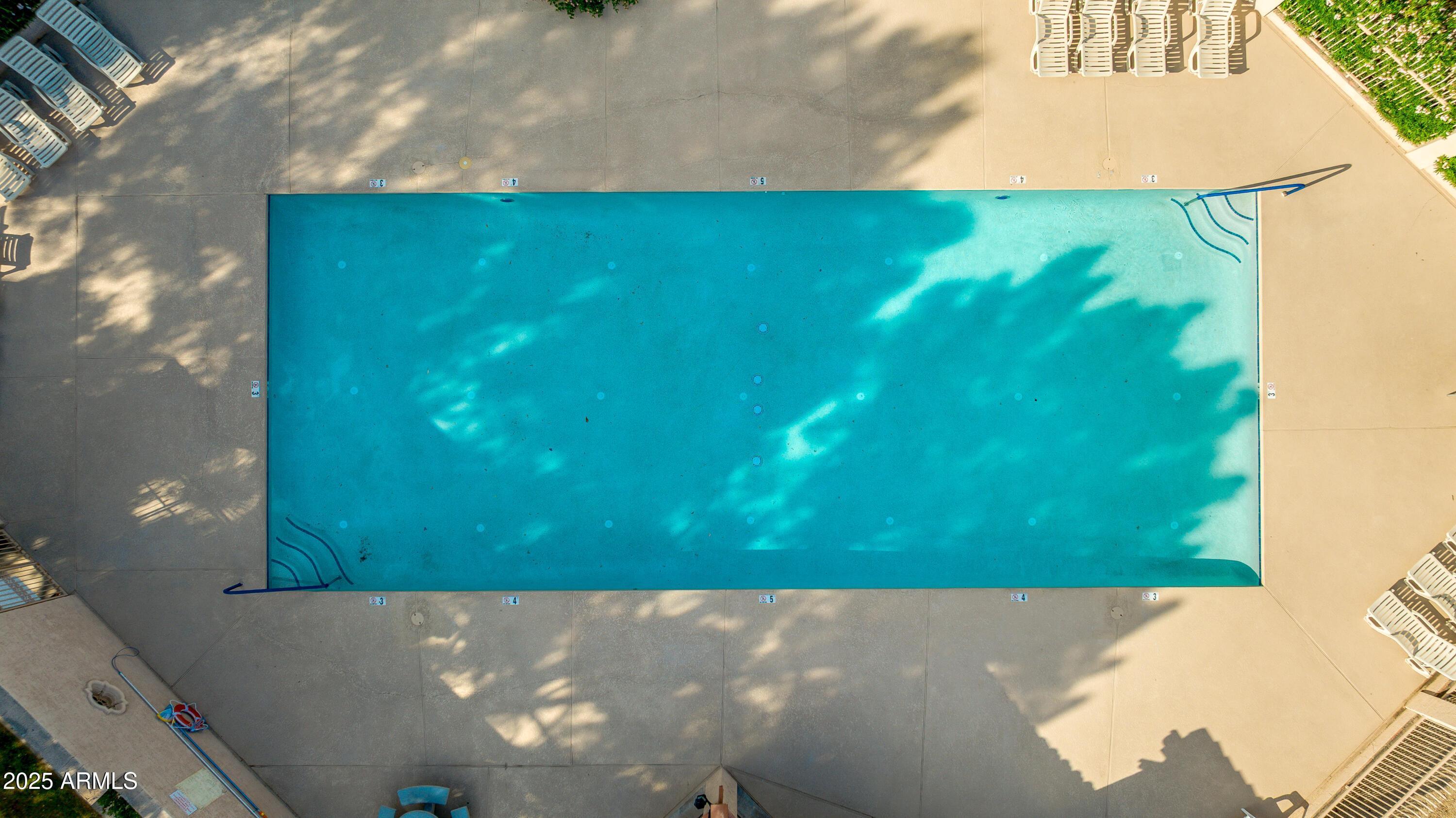 Photo #45
