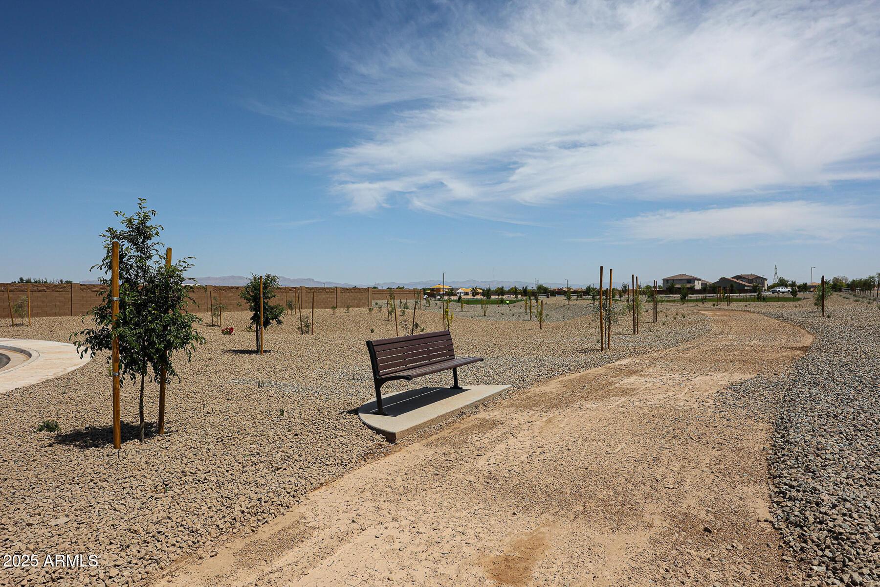 Photo #14