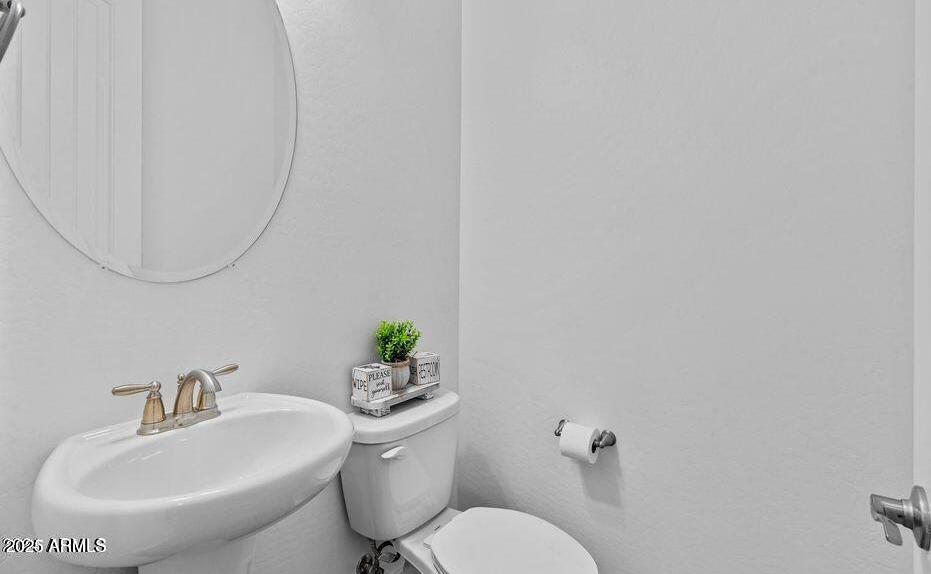 Photo #15