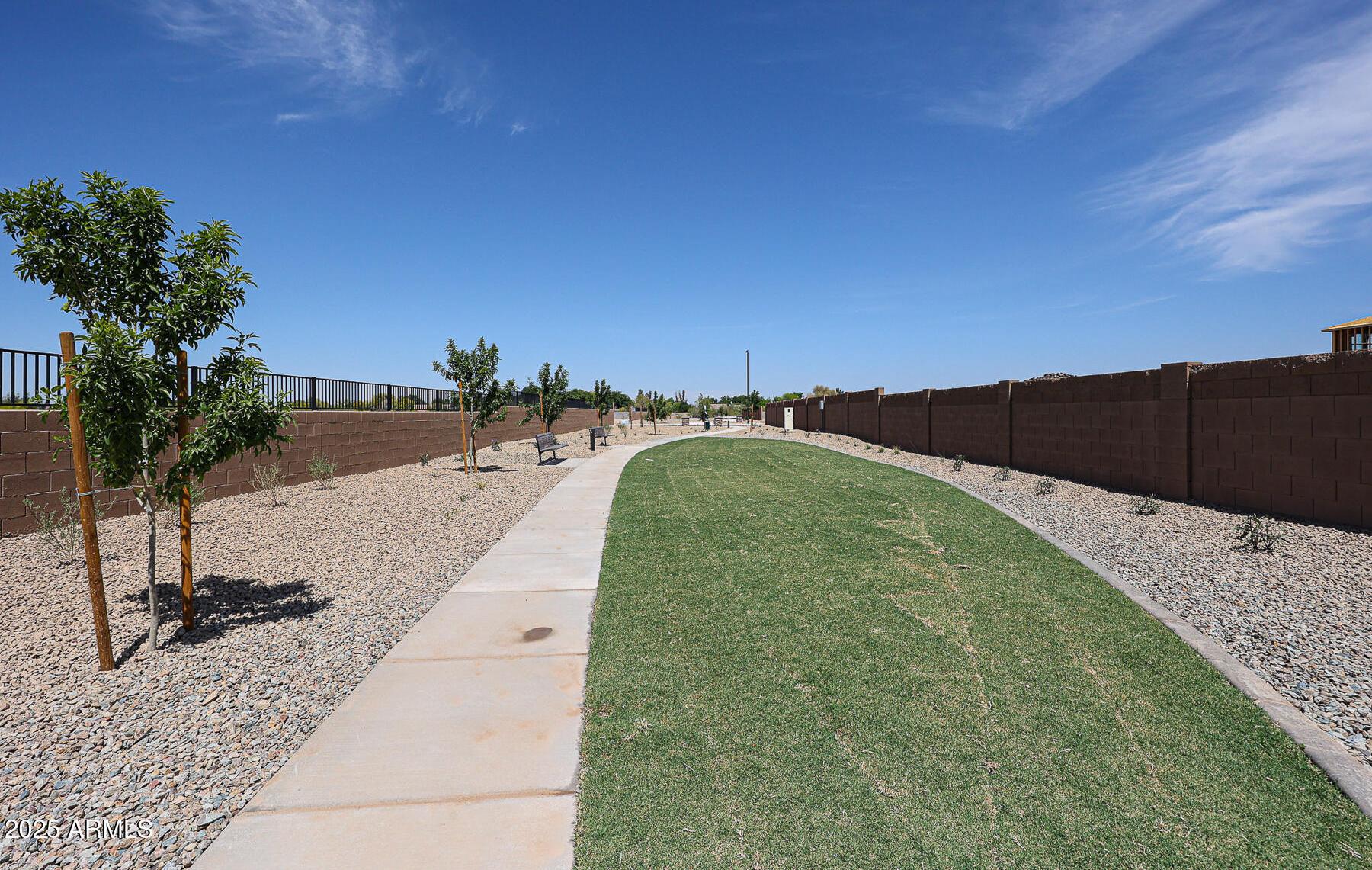 Photo #14
